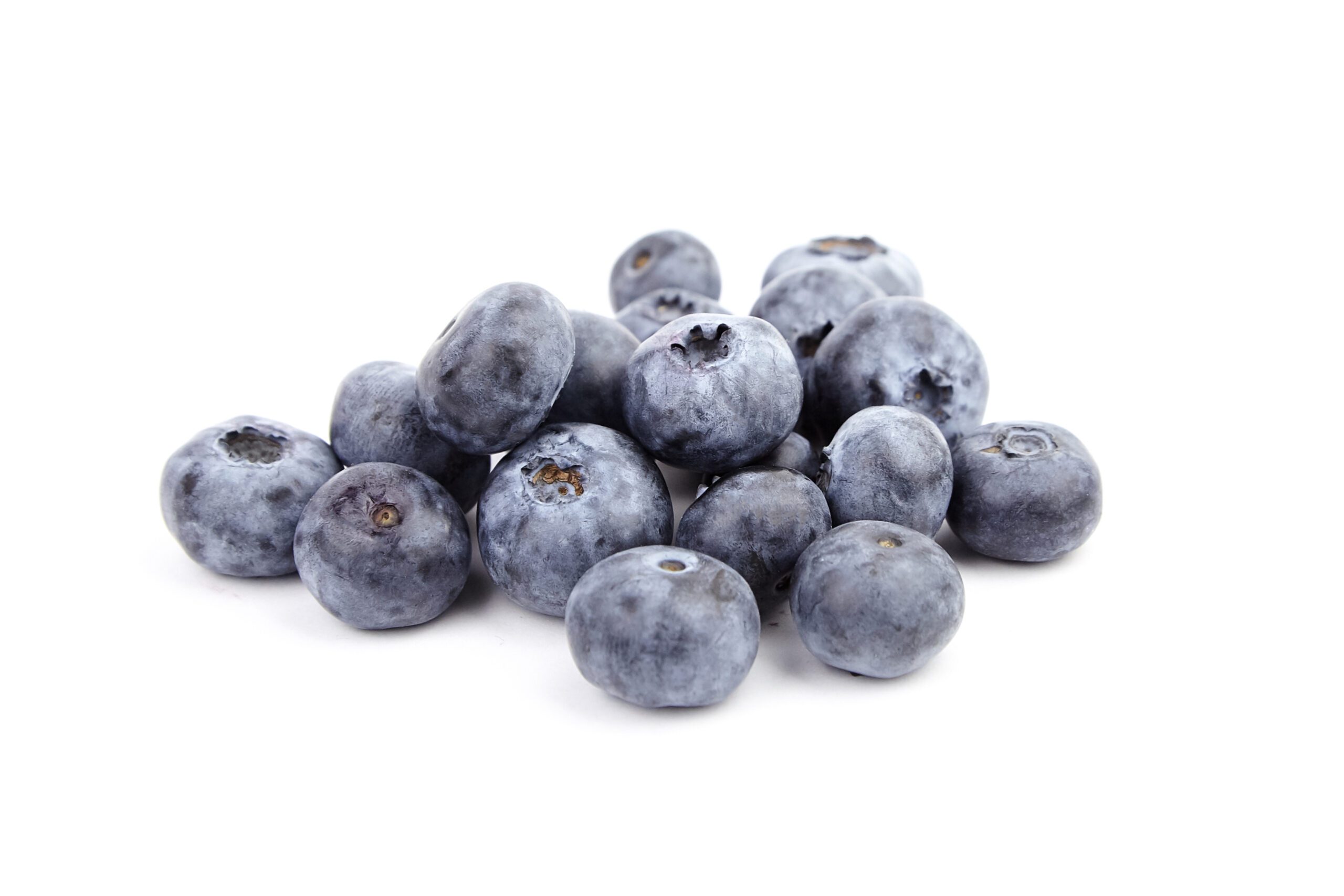 Featured image for “Organic Blueberries”