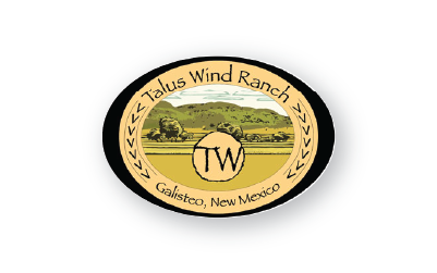 Featured image for “TALUS WIND”