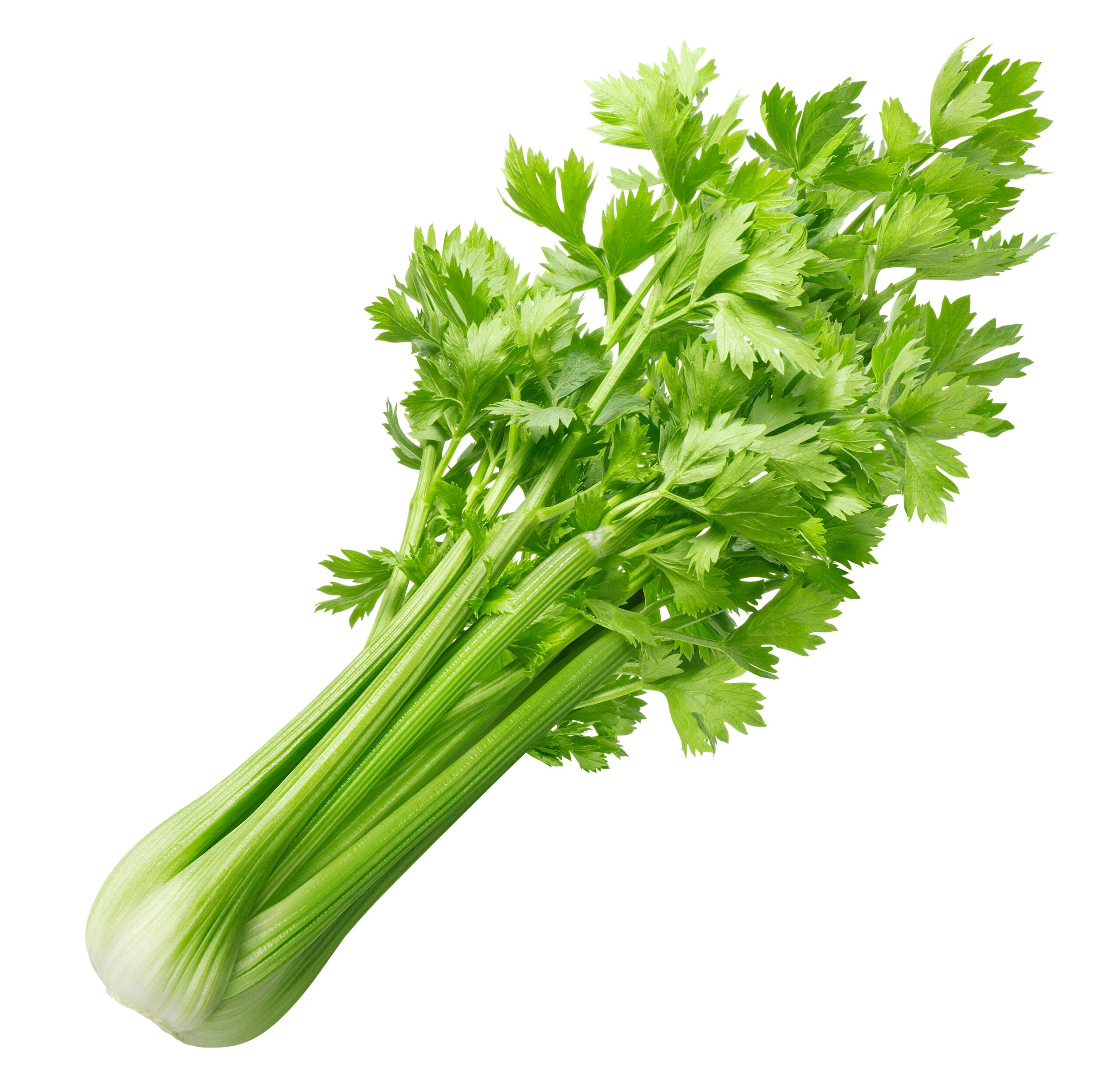 Featured image for “Organic Celery”