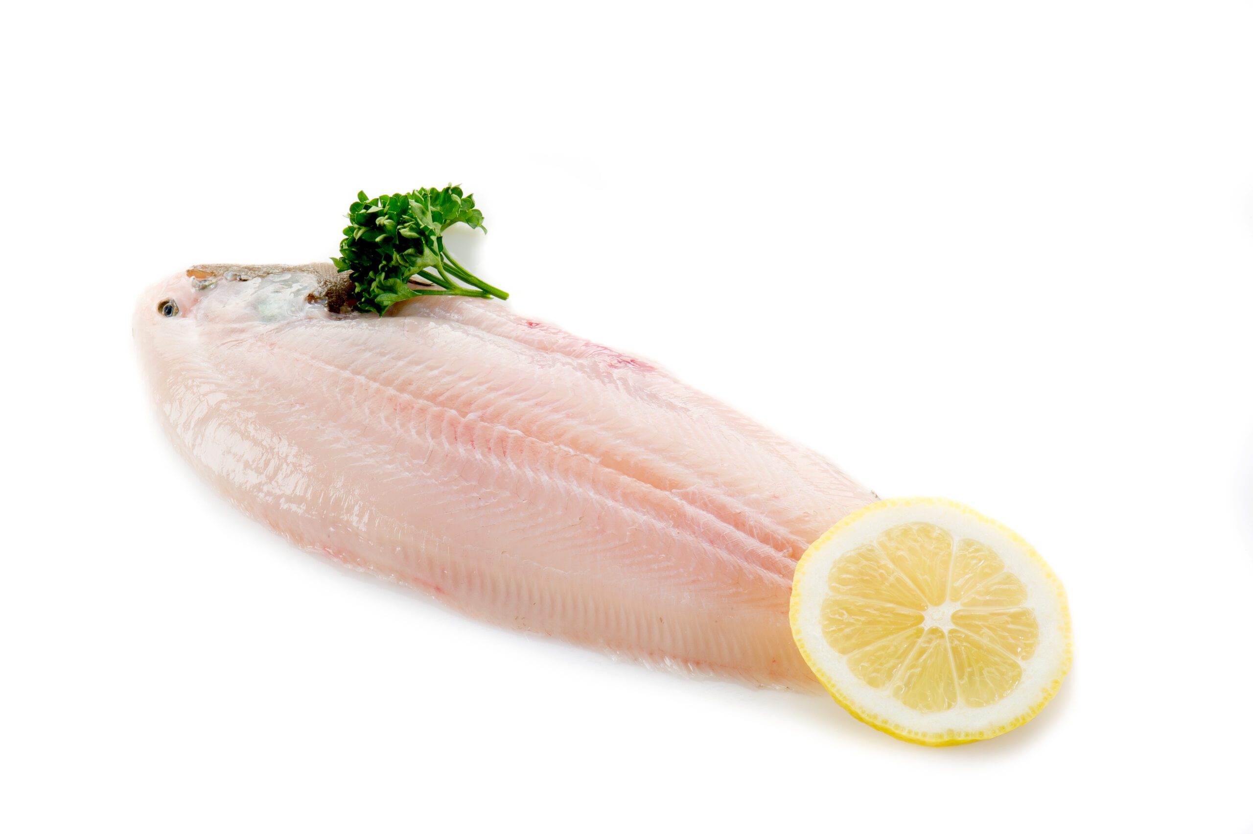 Featured image for “Above Sea Level – Wild Caught Dover Sole”