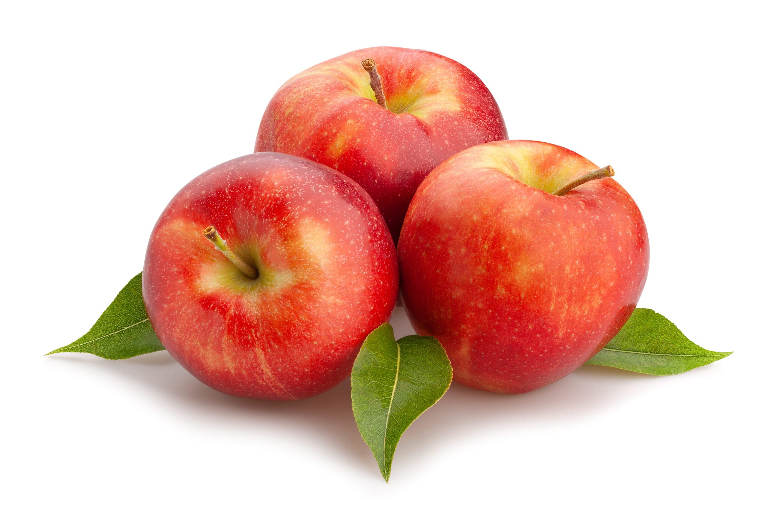 Featured image for “Organic Cosmic Crisp Apples”