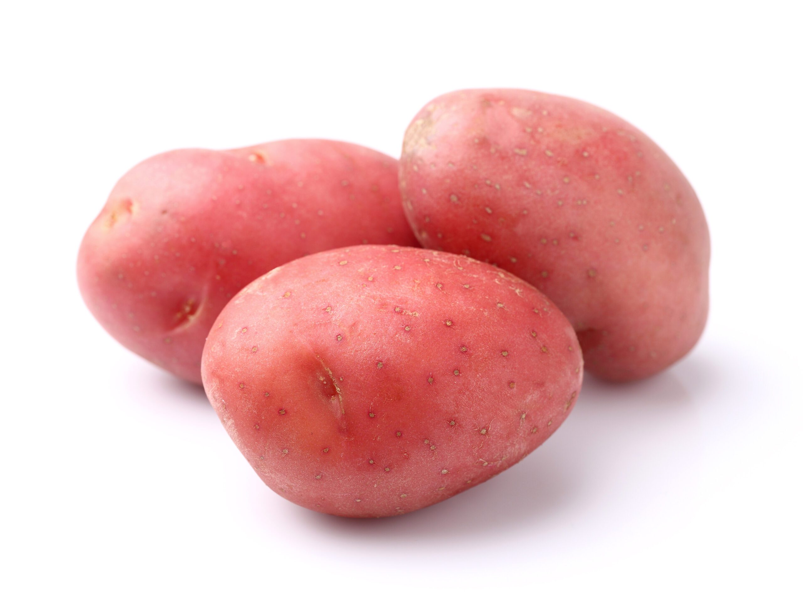 Featured image for “Organic Red Potatoes”