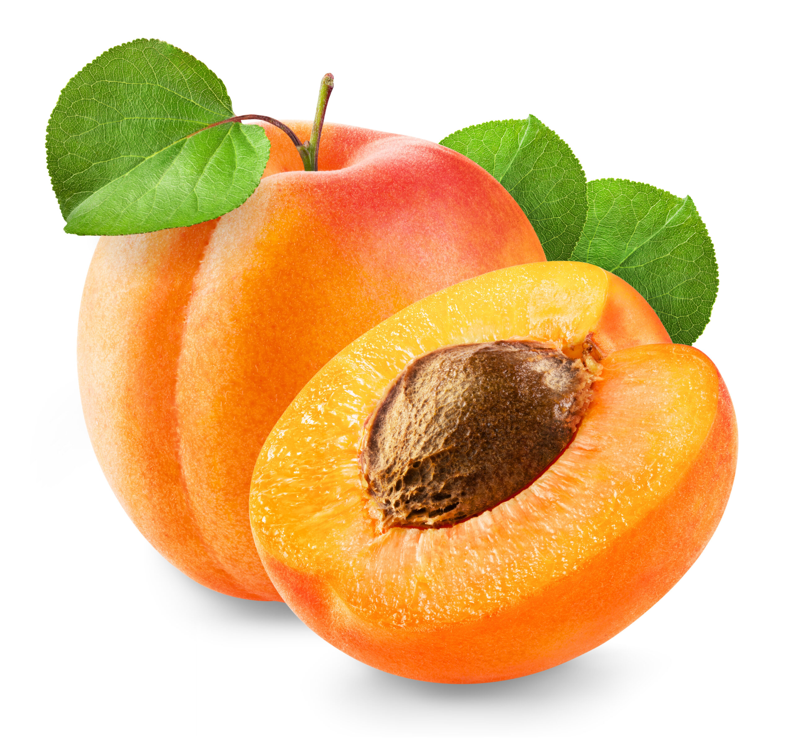 Featured image for “Organic Apricots”