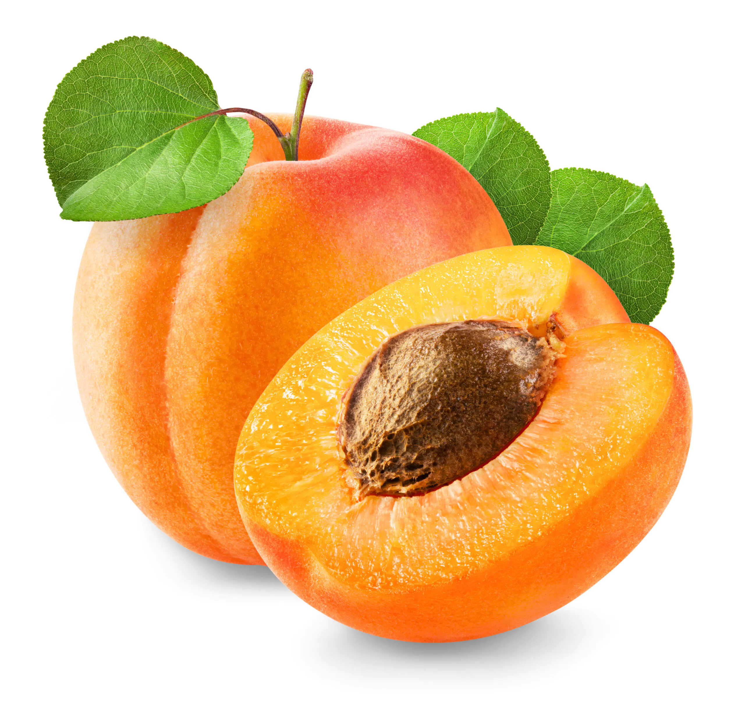 Featured image for “ORGANIC APRICOTS”