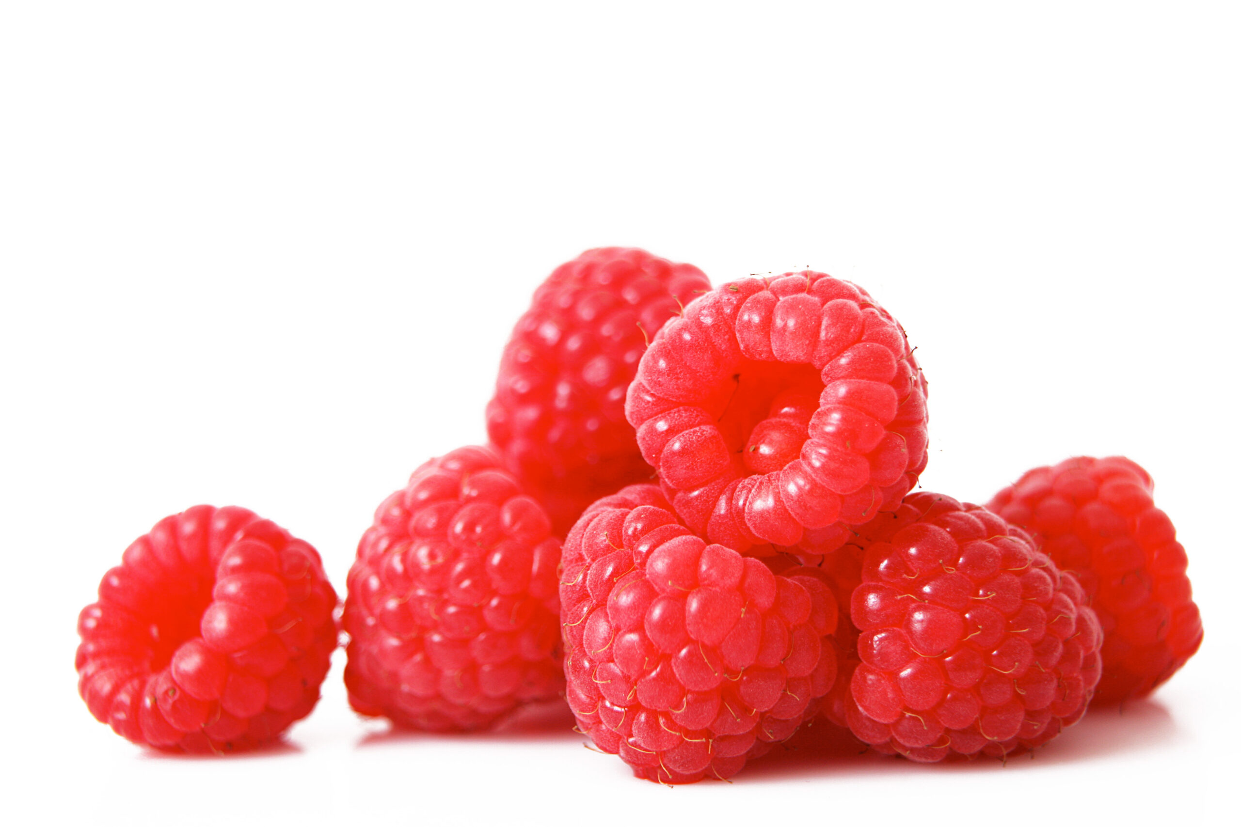 Featured image for “ORGANIC RASPBERRIES”