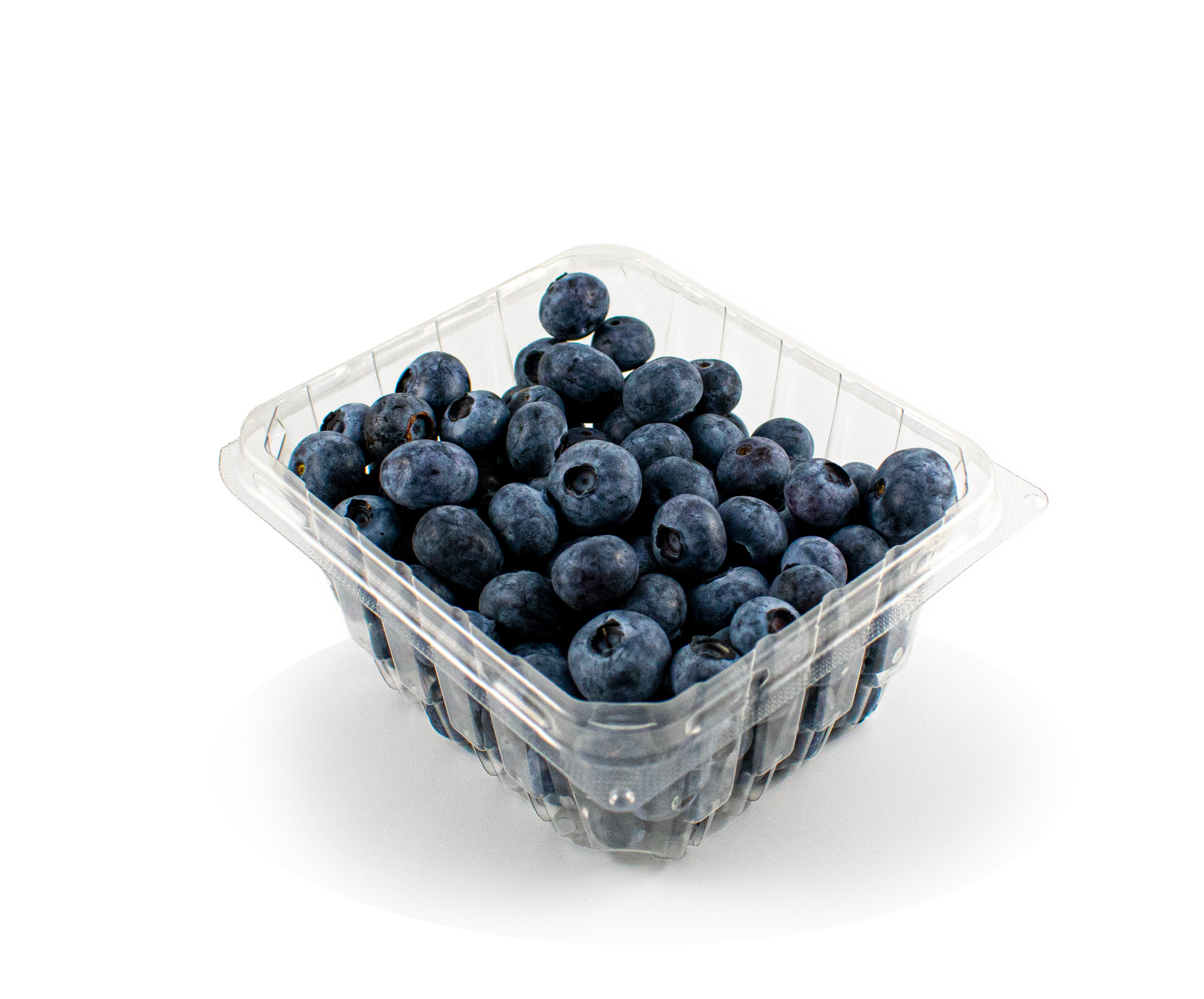 Featured image for “Organic Blueberries”