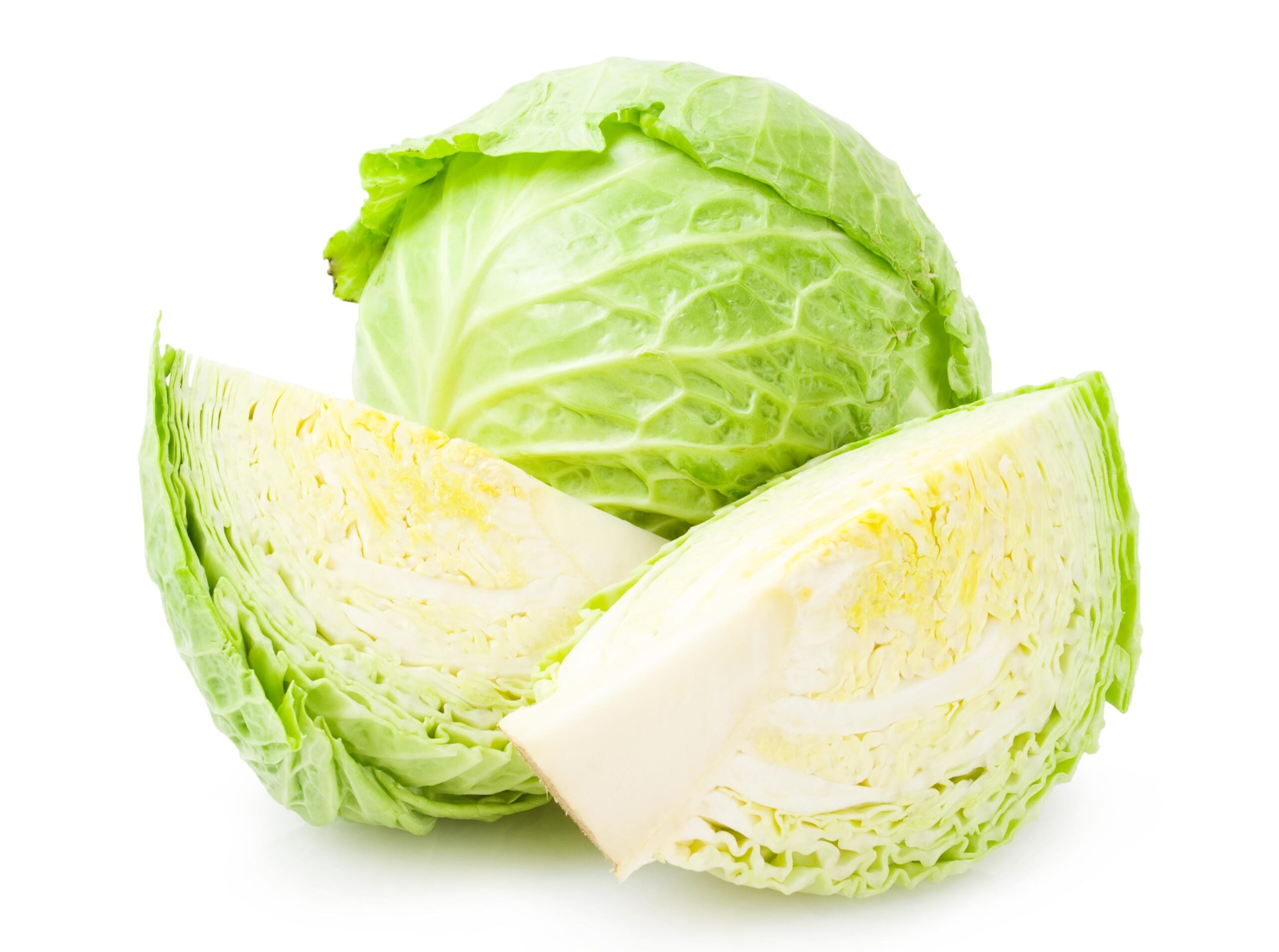 Featured image for “GREEN CABBAGE”
