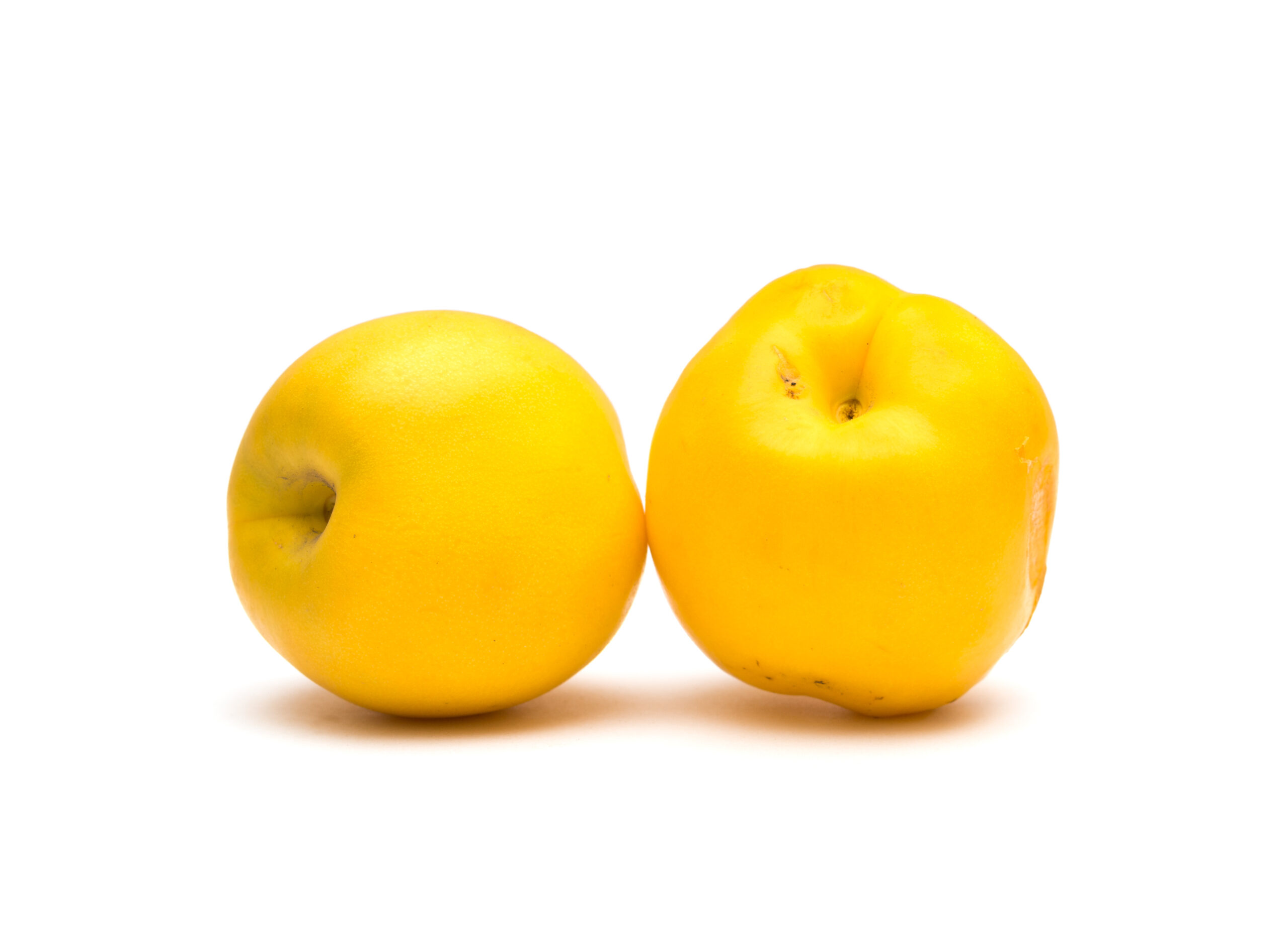 Featured image for “Organic Yellow Nectarines”