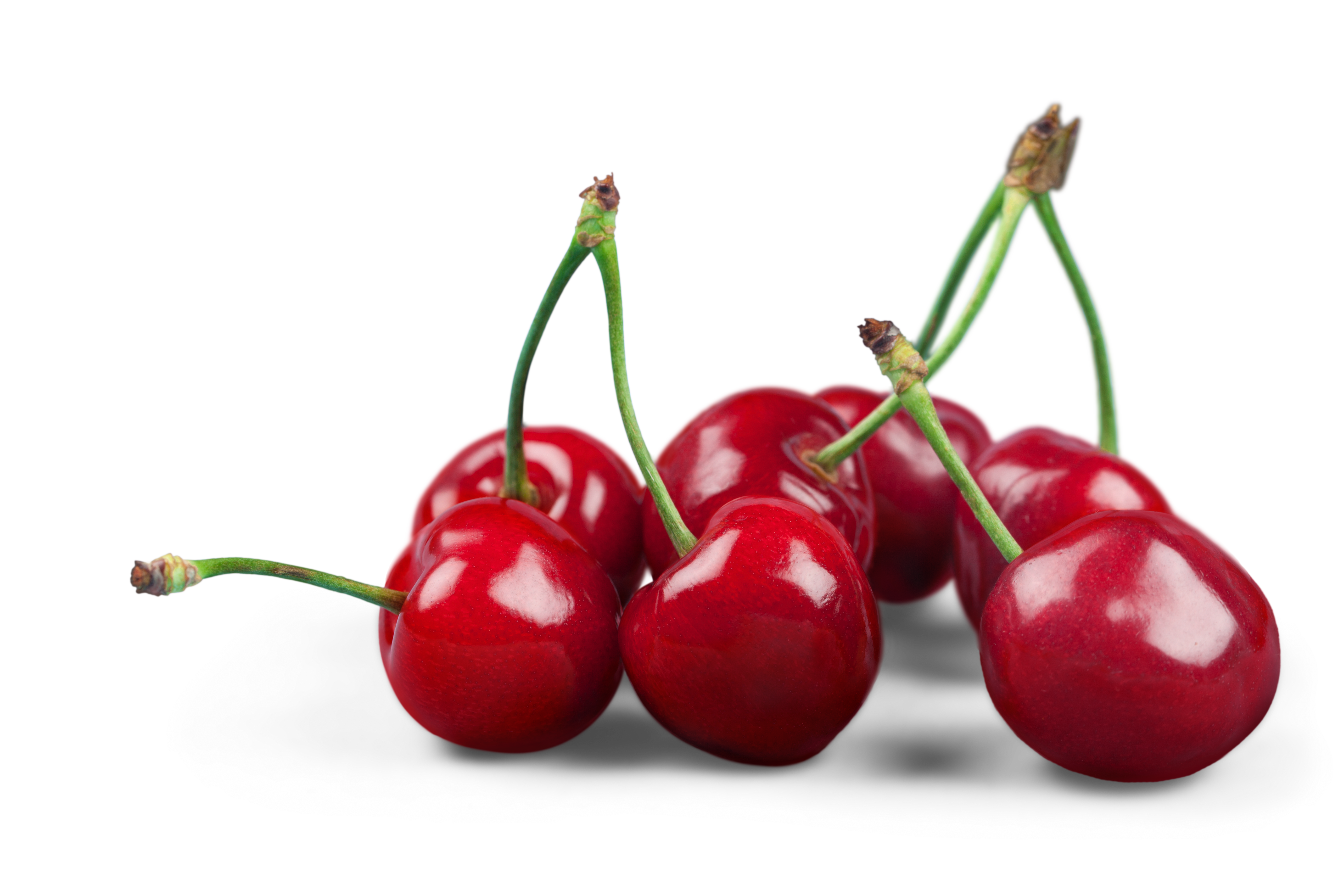Featured image for “Organic Cherries”
