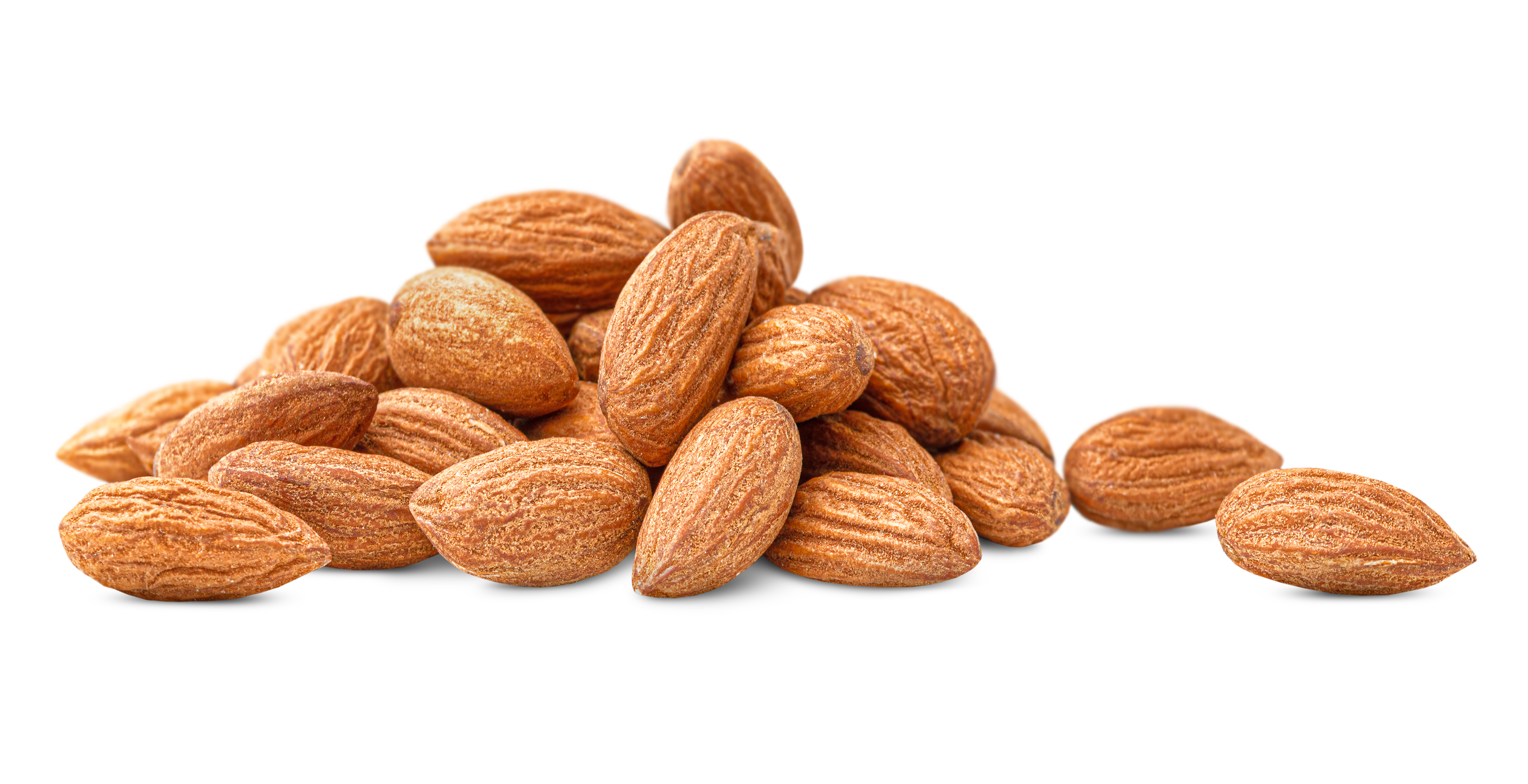 Featured image for “Bulk”