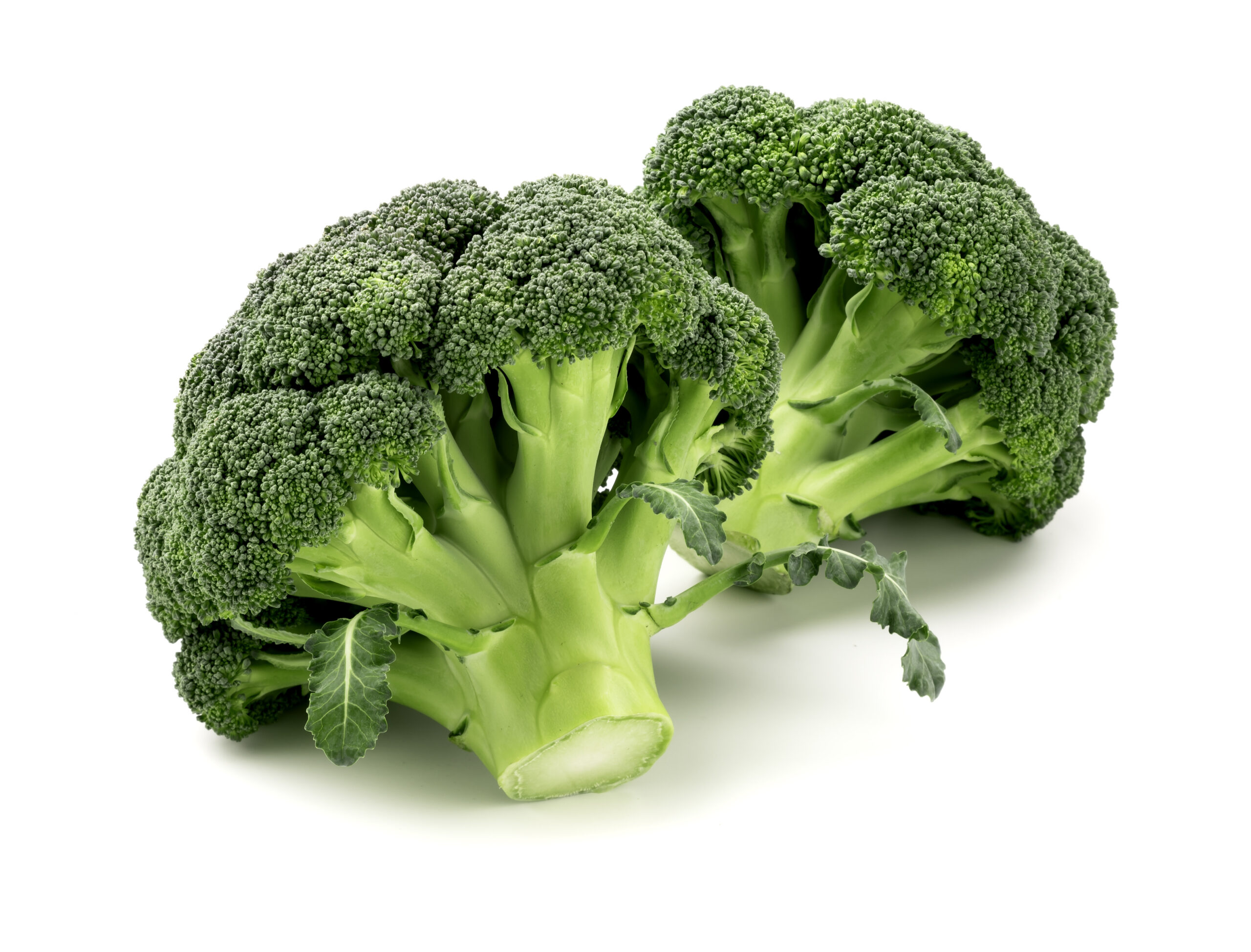 Featured image for “Organic Broccoli”