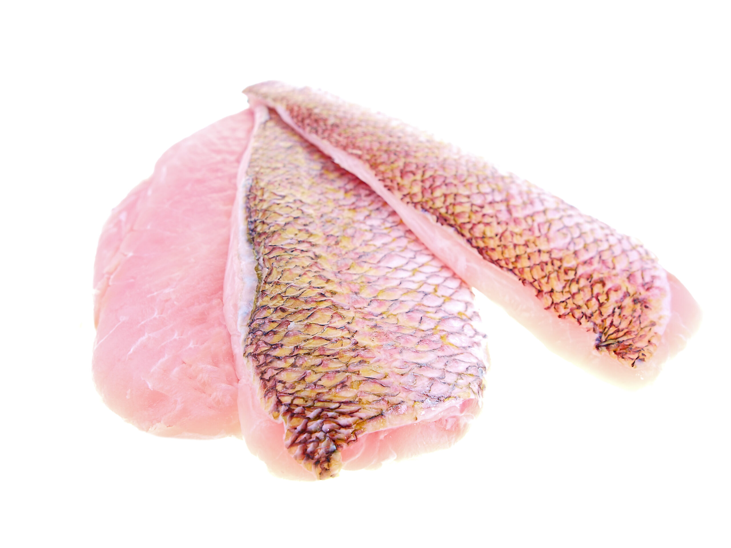 Featured image for “RED SNAPPER”