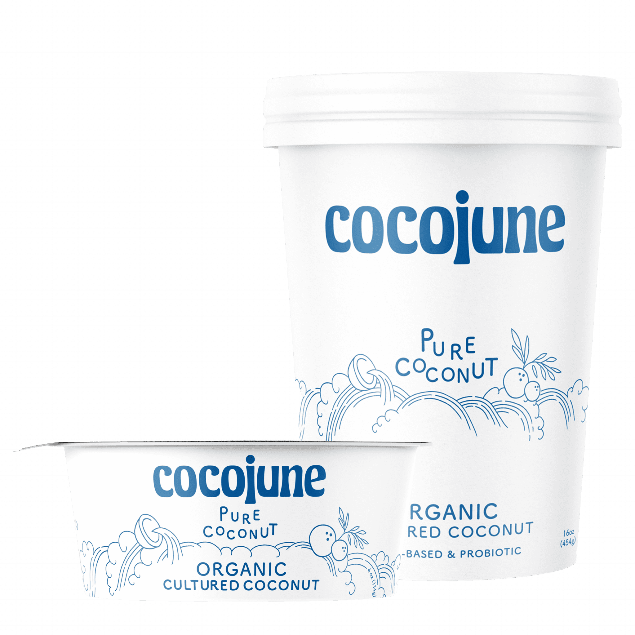 Featured image for “COCOJUNE”