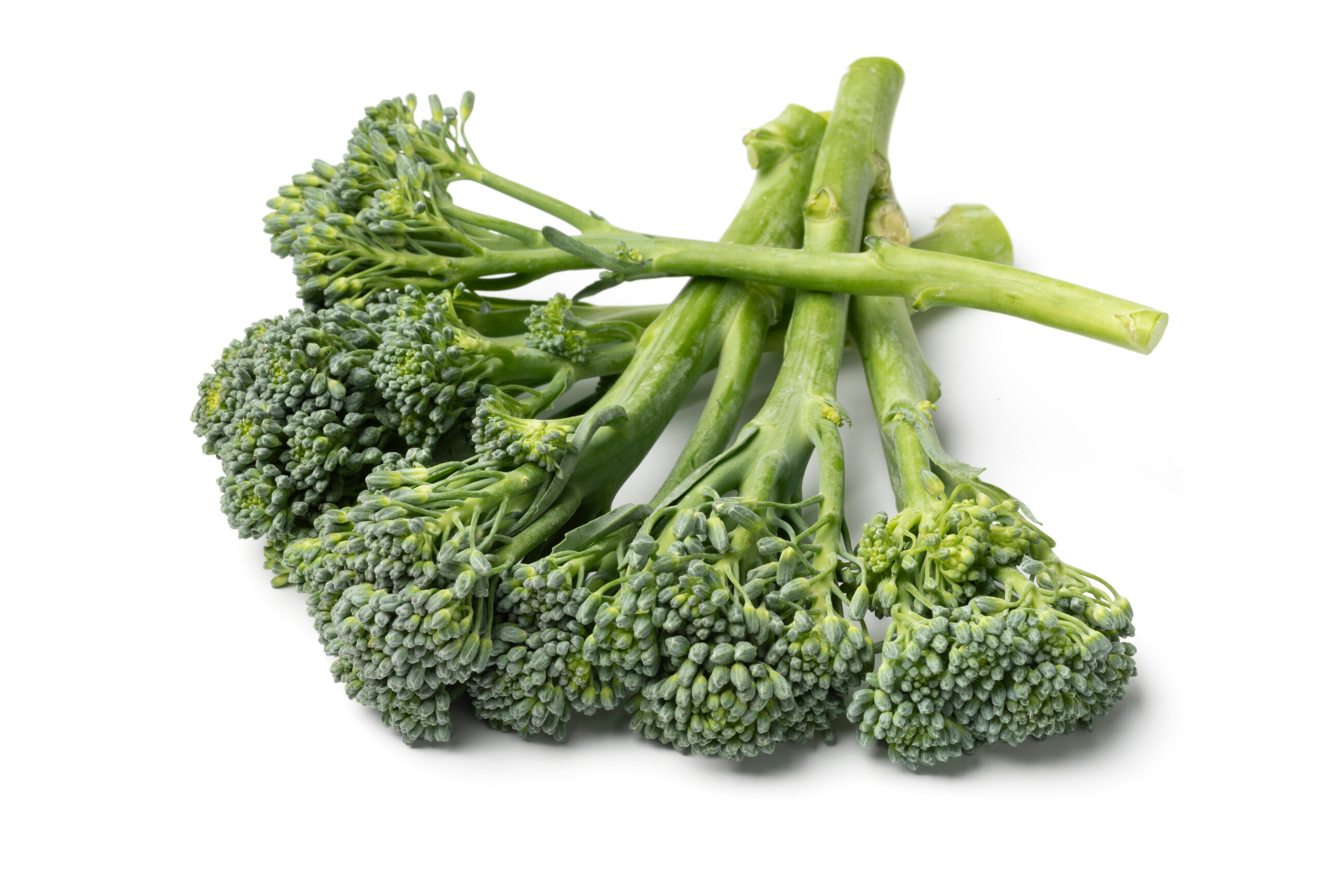 Featured image for “ORGANIC BROCCOLINI”