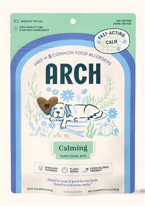 Featured image for “ARCH”