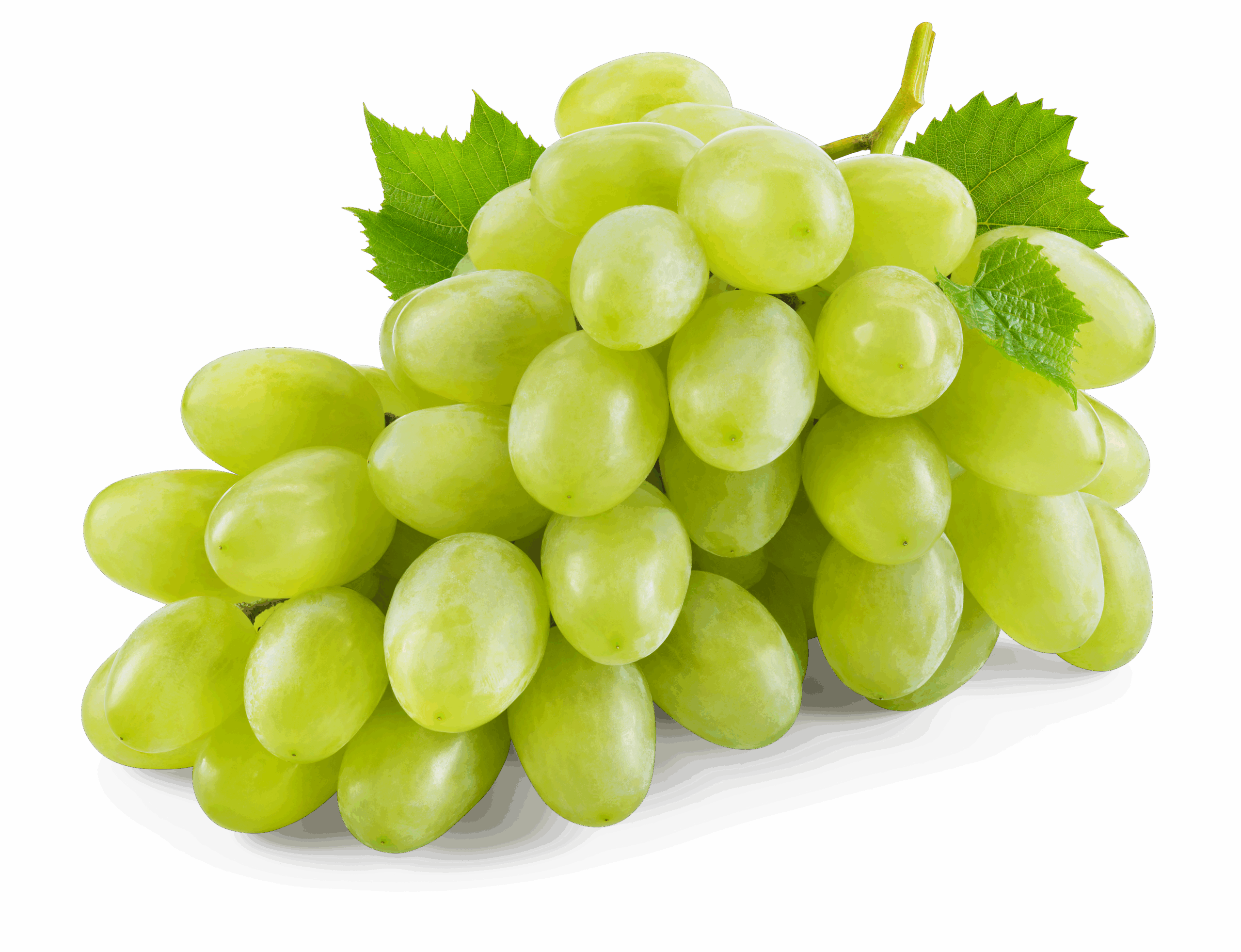 Featured image for “ORGANIC GREEN SEEDLESS GRAPES”