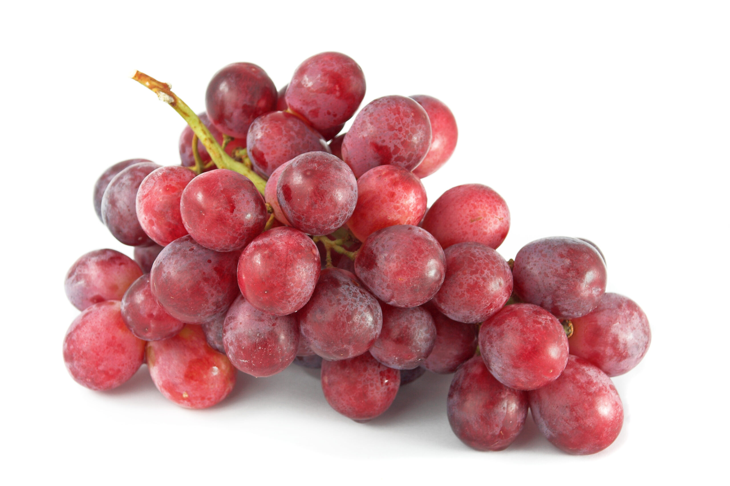 Featured image for “ORGANIC RED SEEDLESS GRAPES”
