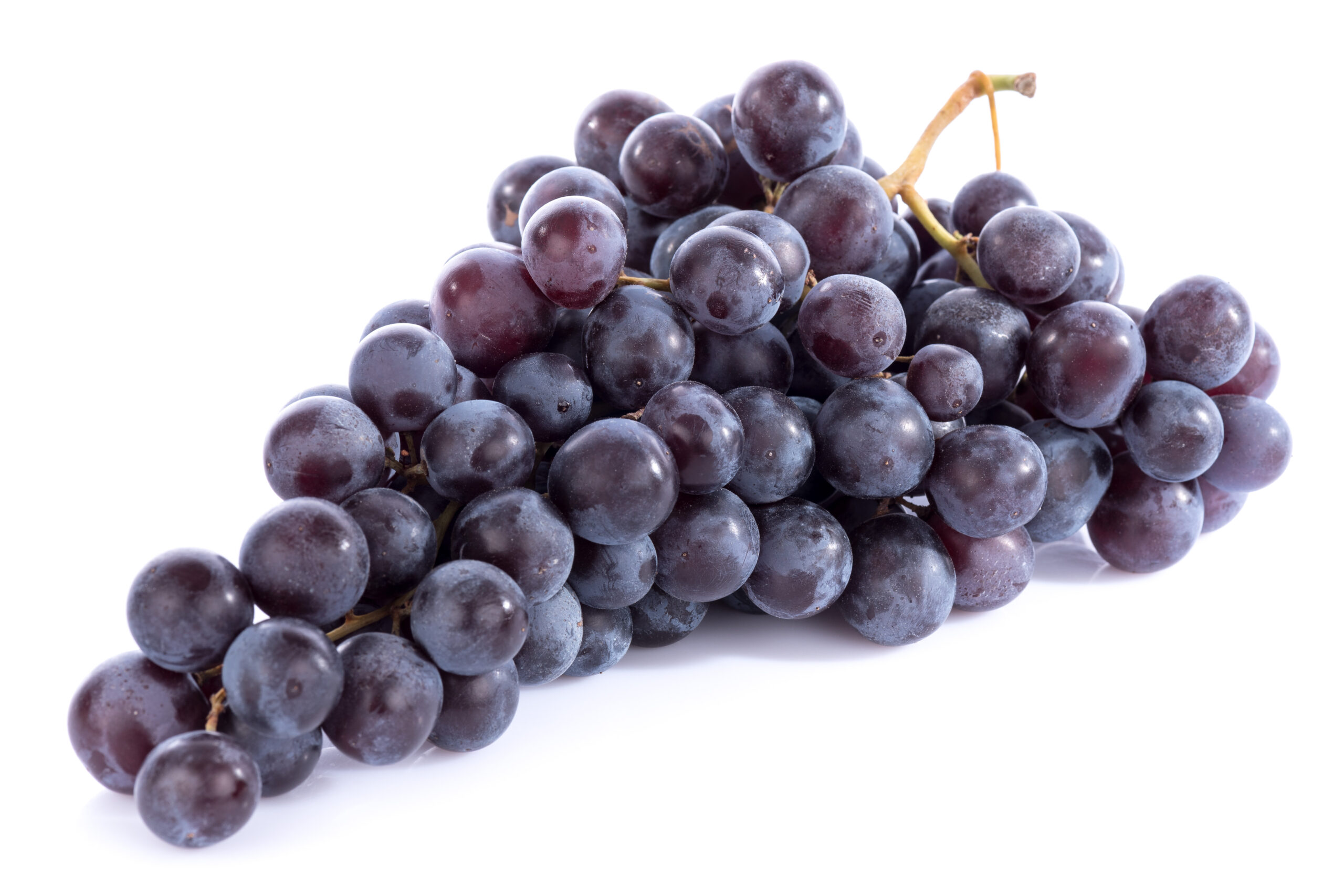 Featured image for “ORGANIC BLACK SEEDLESS GRAPES”
