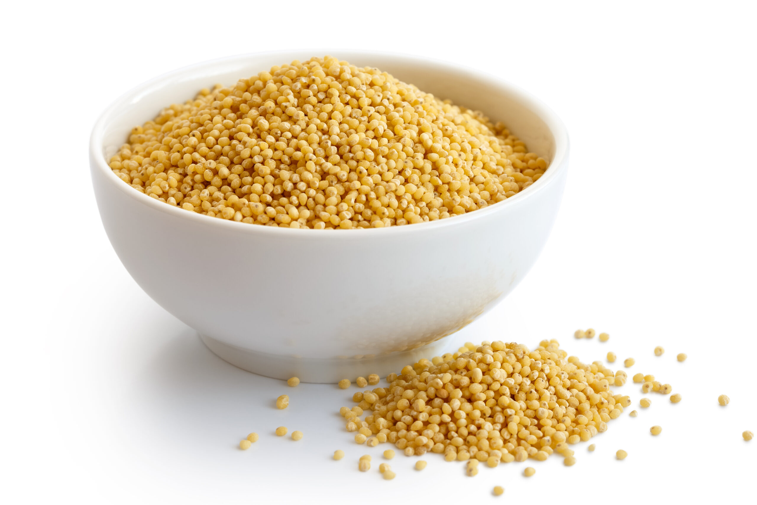 Featured image for “BULK”