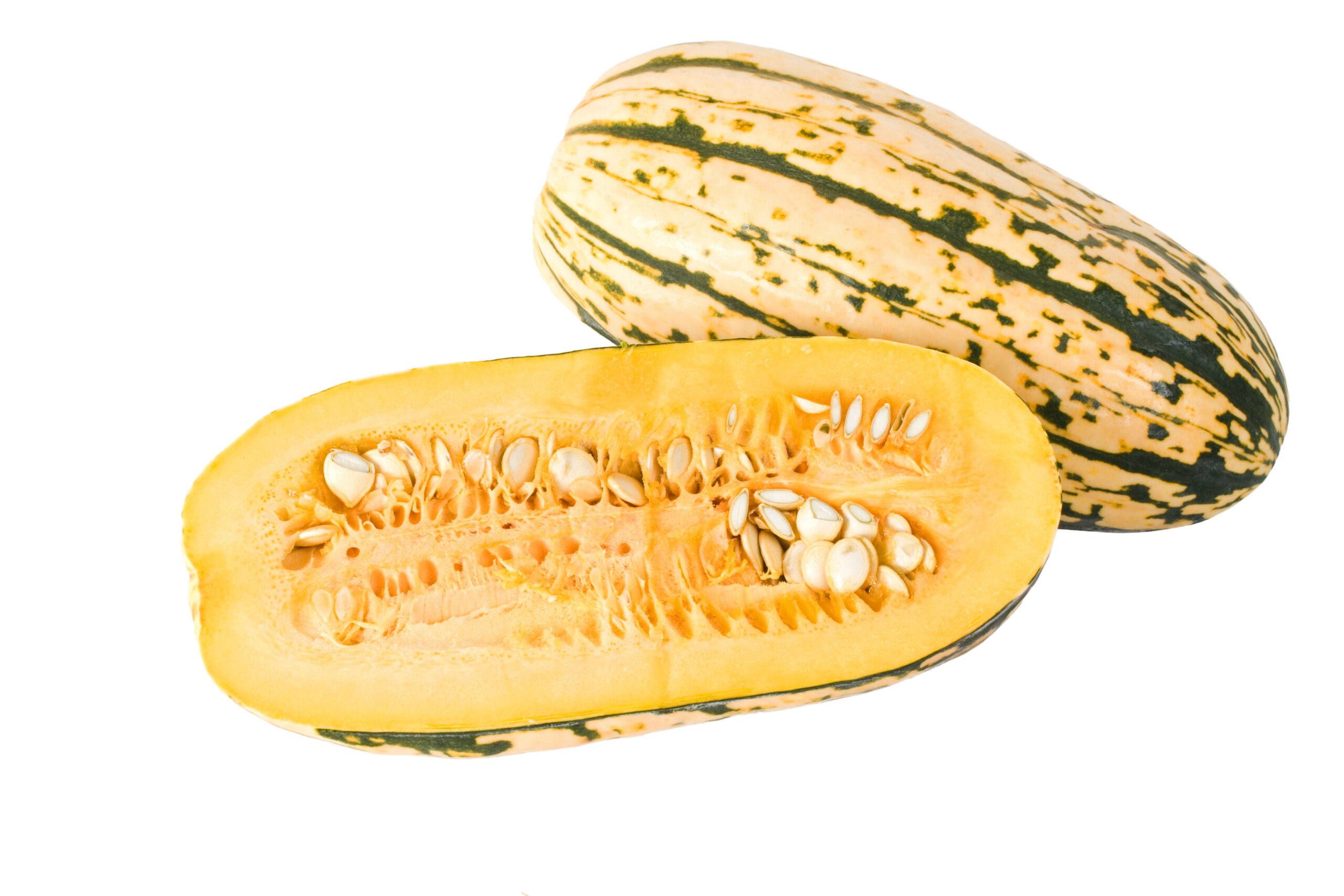 Featured image for “ORGANIC DELICATA SQUASH”