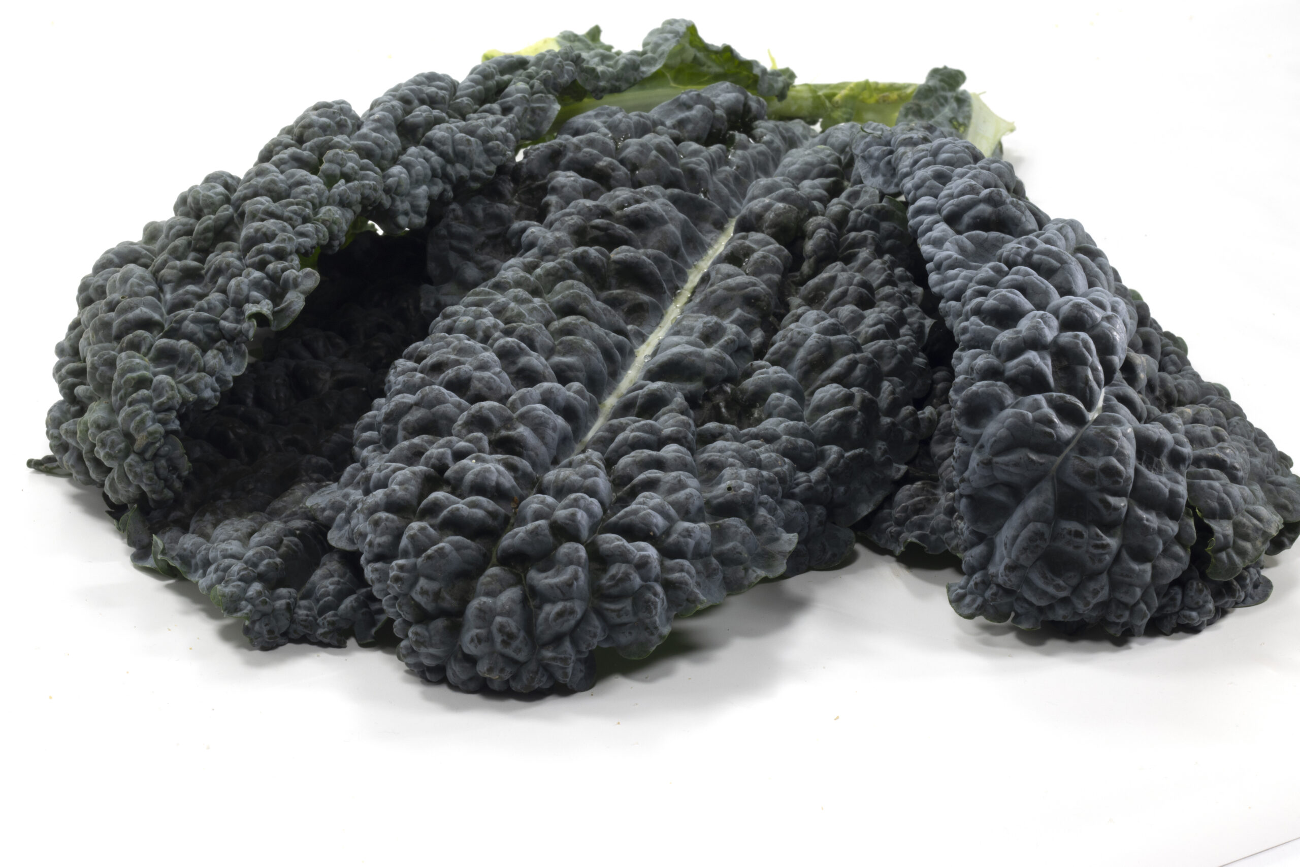 Featured image for “ORGANIC DINO KALE”