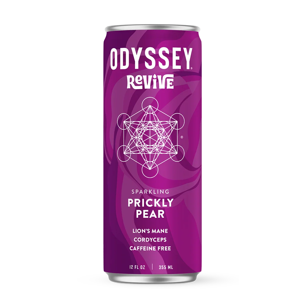 Featured image for “ODYESSY”