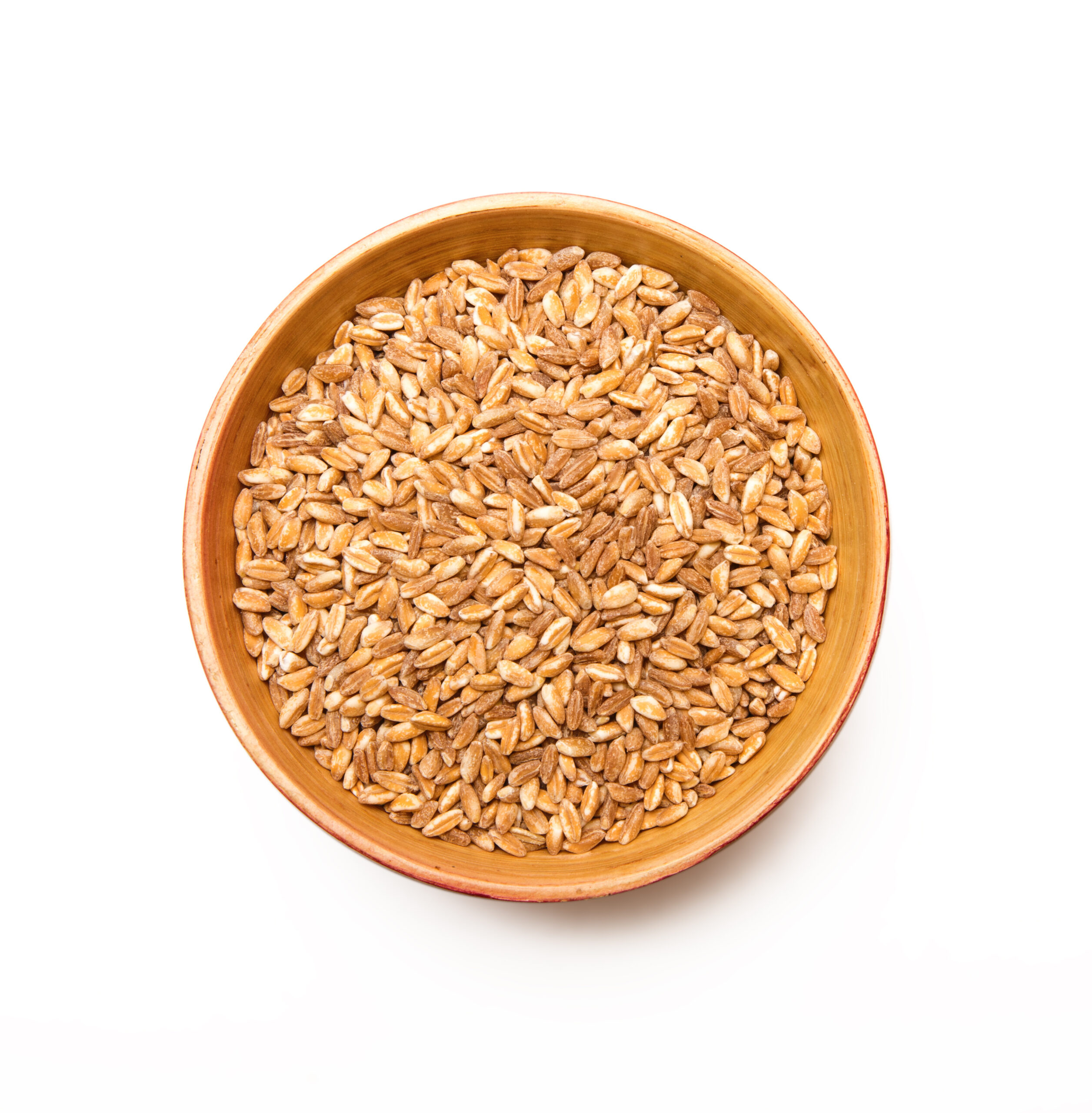 Featured image for “BULK”