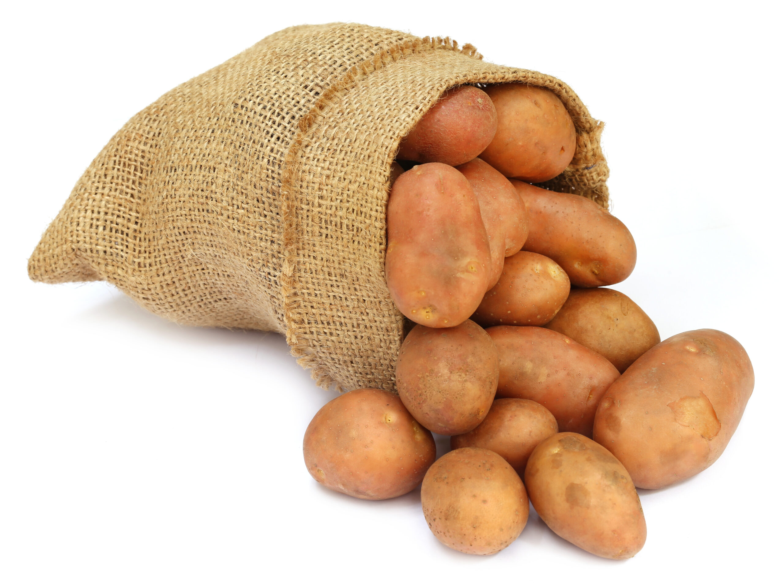Featured image for “ORGANIC RUSSET POTATOES”