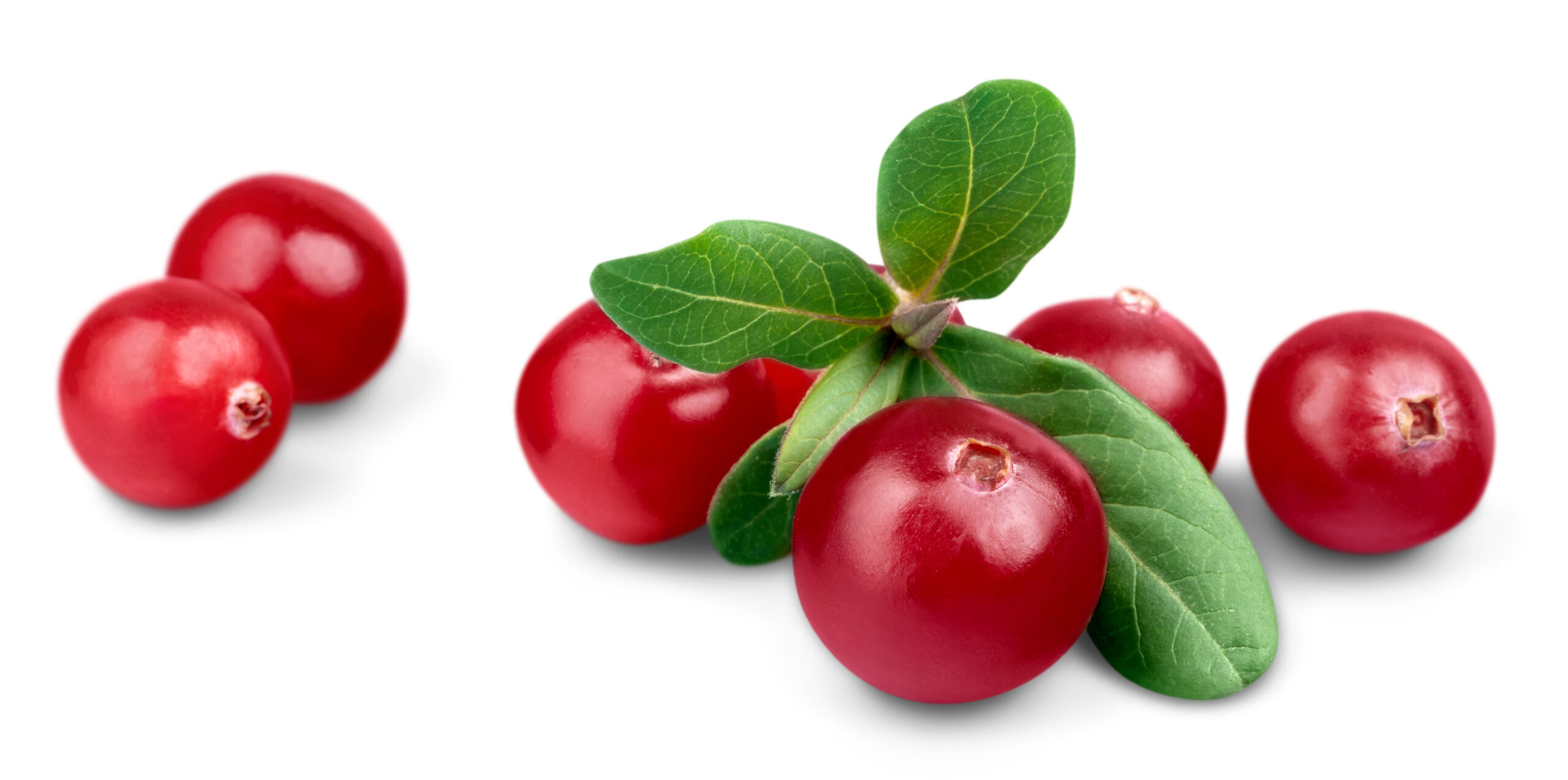 Featured image for “ORGANIC CRANBERRIES”