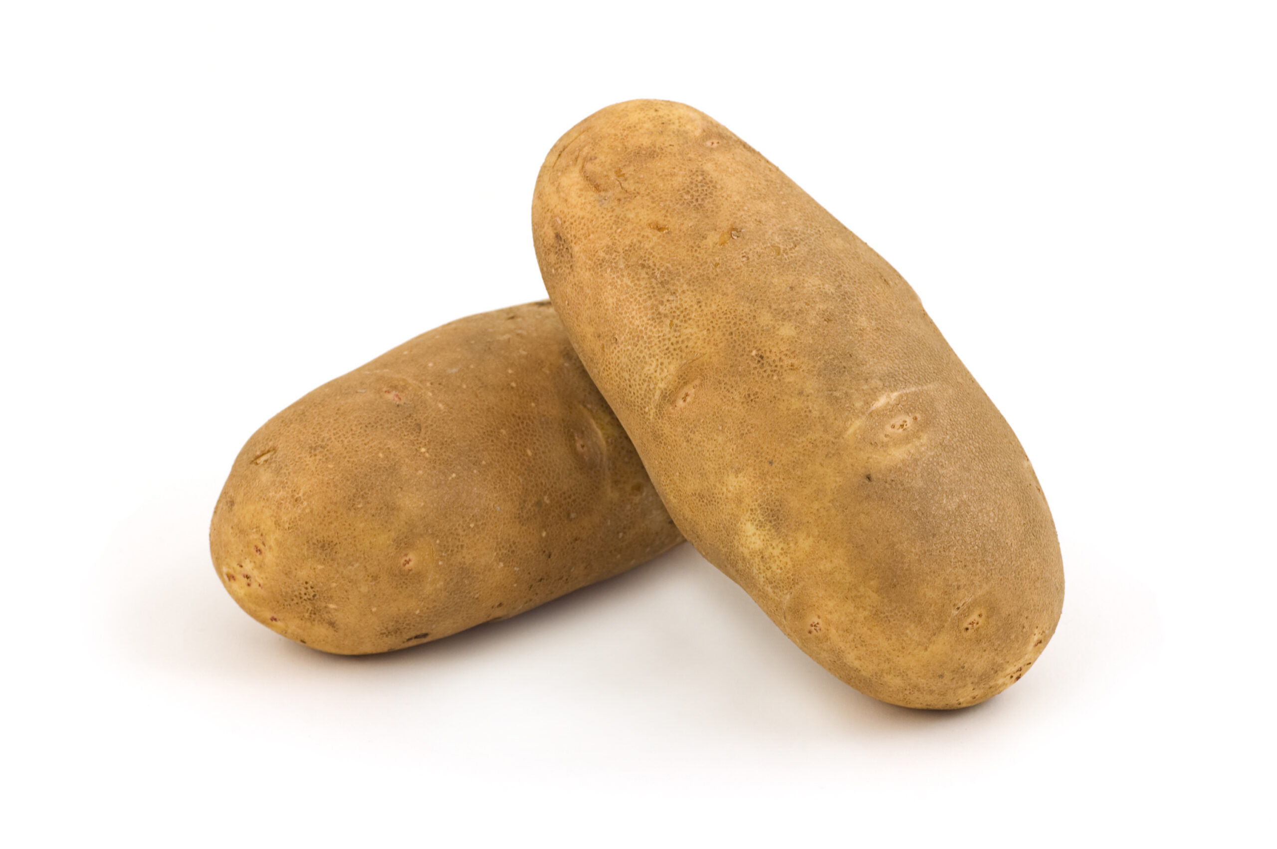 Featured image for “ORGANIC RUSSET POTATOES”