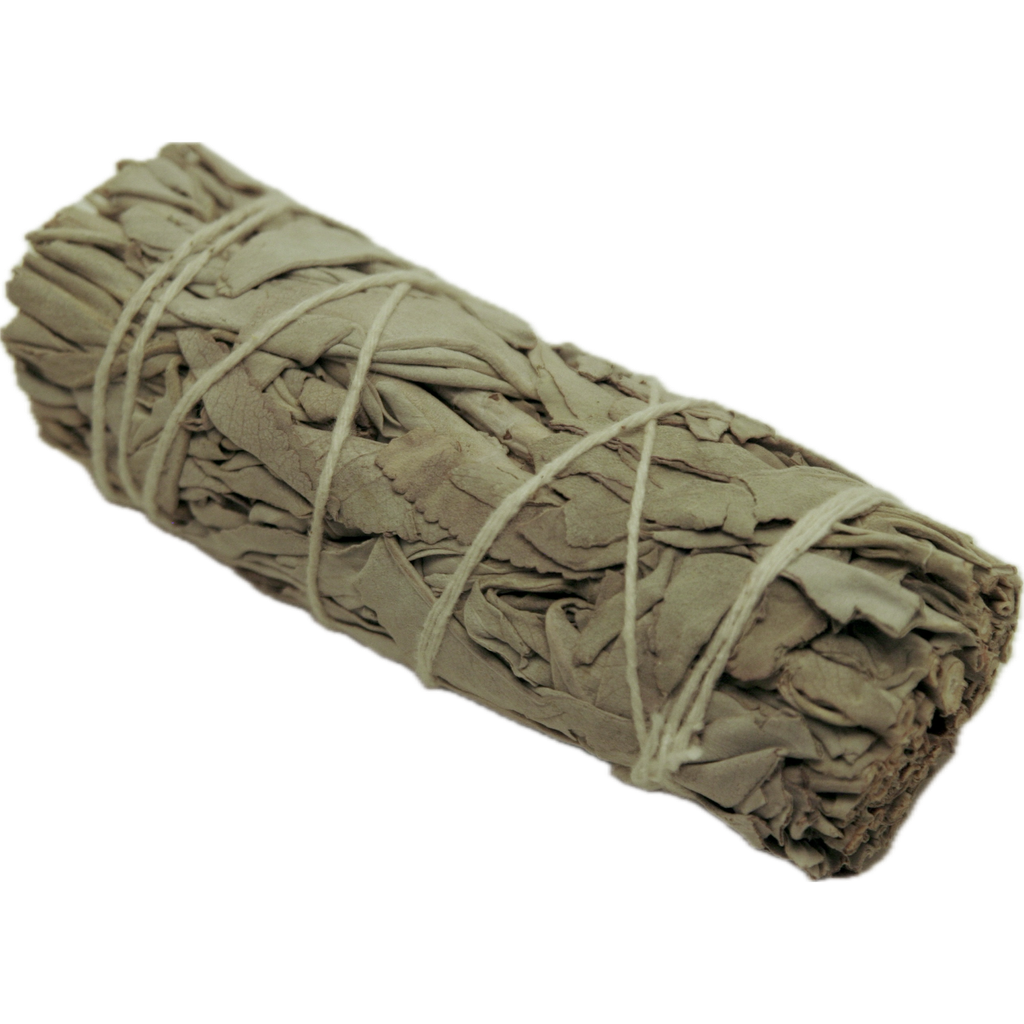 Featured image for “TAOS HERBS”