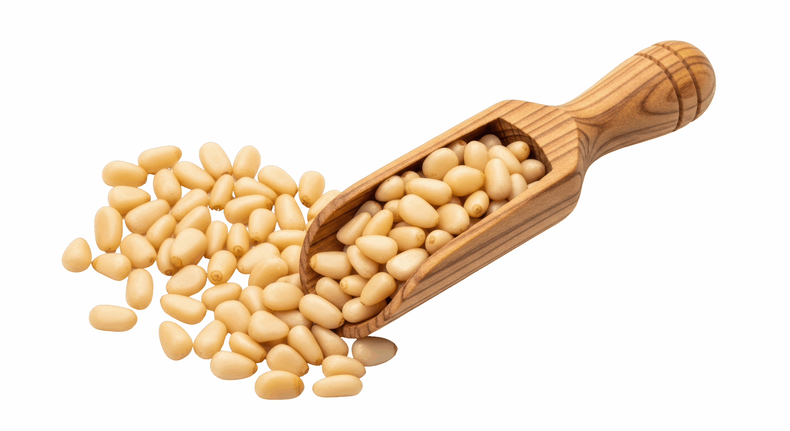 Featured image for “BULK”