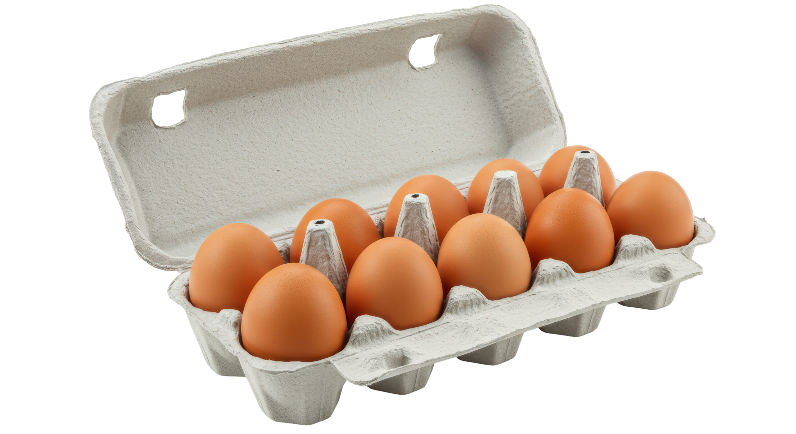 Featured image for “NEIGHBORS CO-OP”