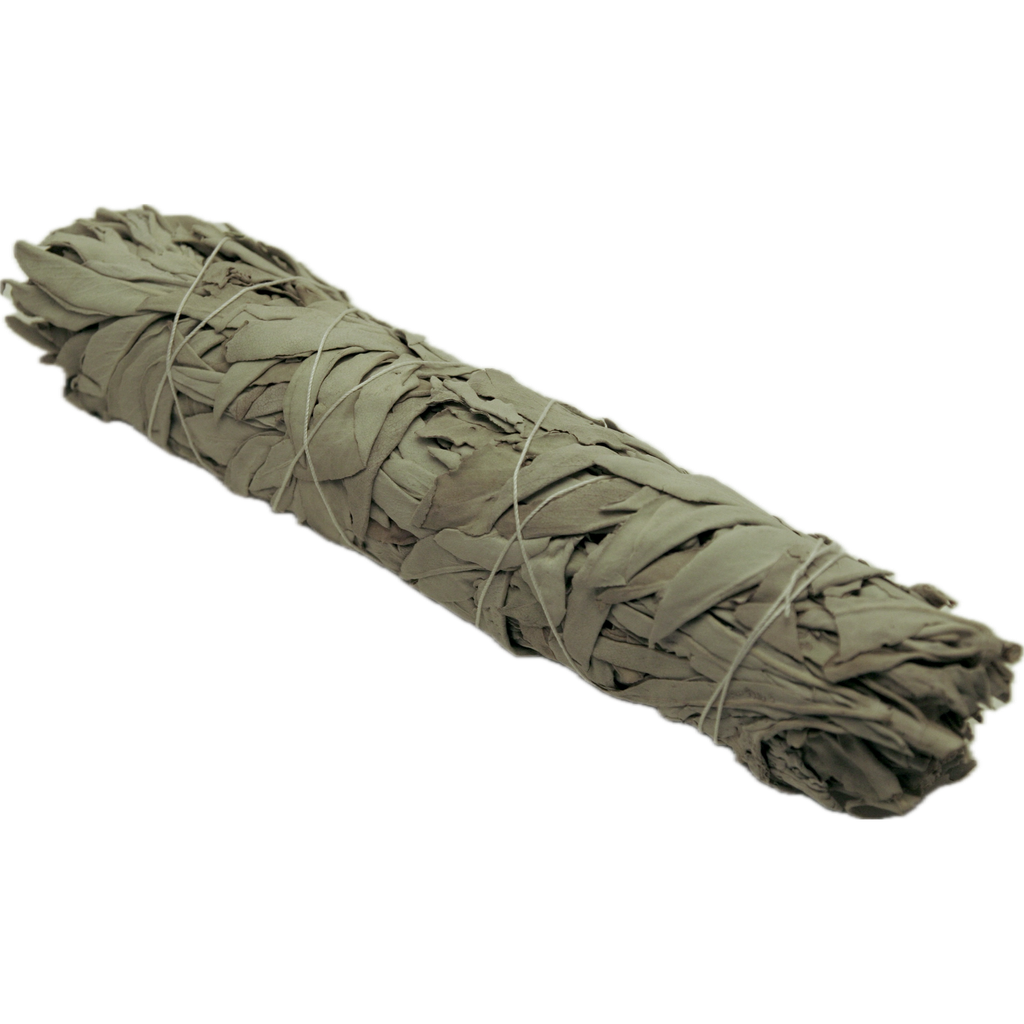 Featured image for “TAOS HERBS”