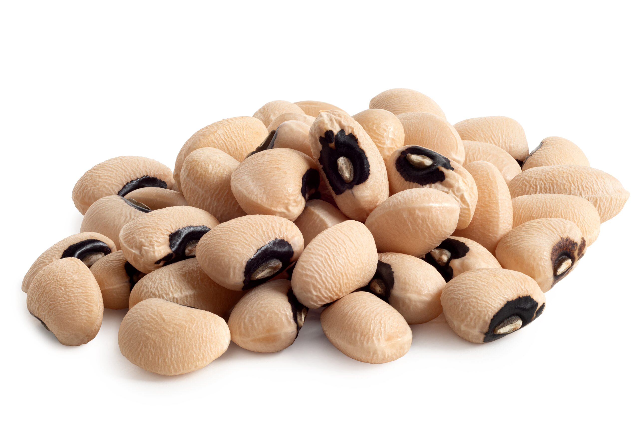 Featured image for “BULK”