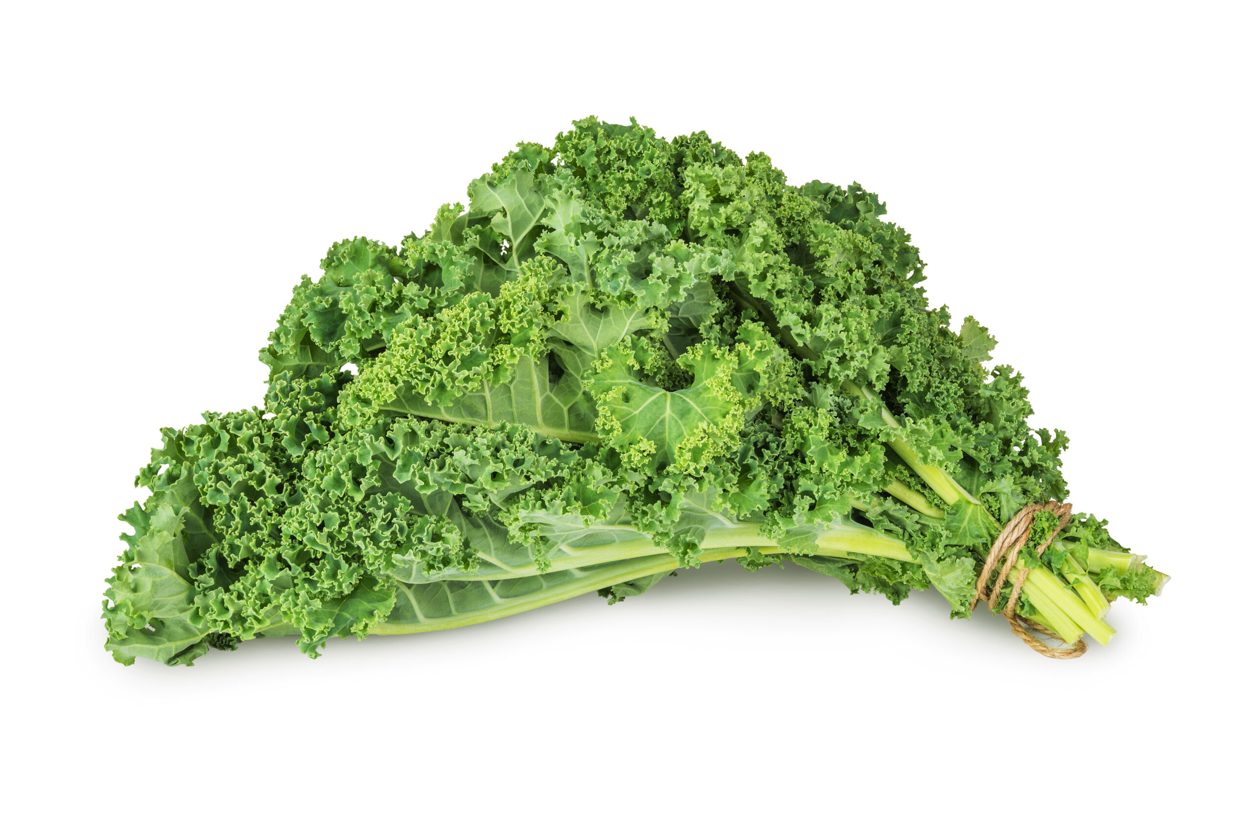Featured image for “ORGANIC GREEN KALE”