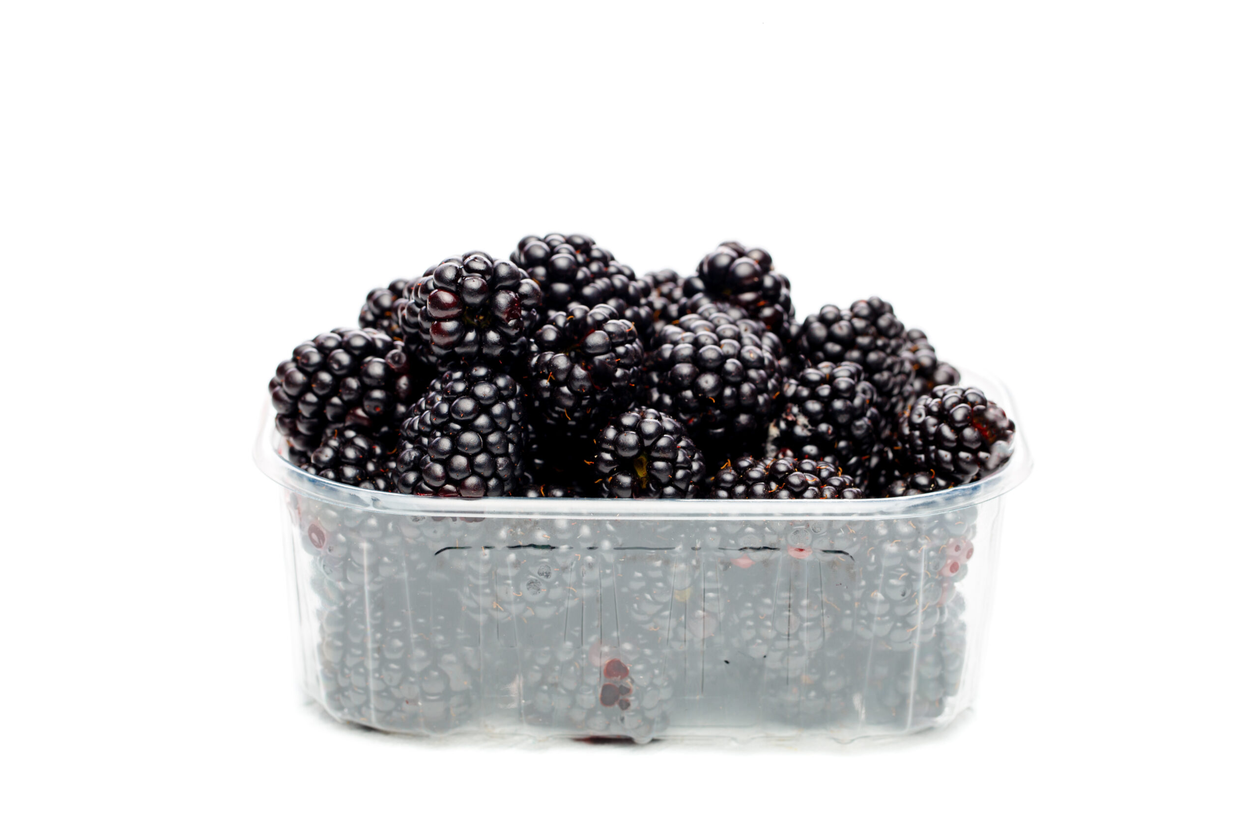 Featured image for “ORGANIC BLACKBERRIES”