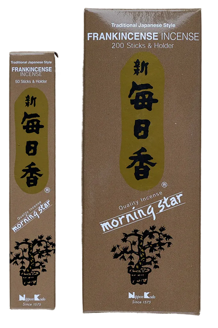 Featured image for “MORNING STAR”