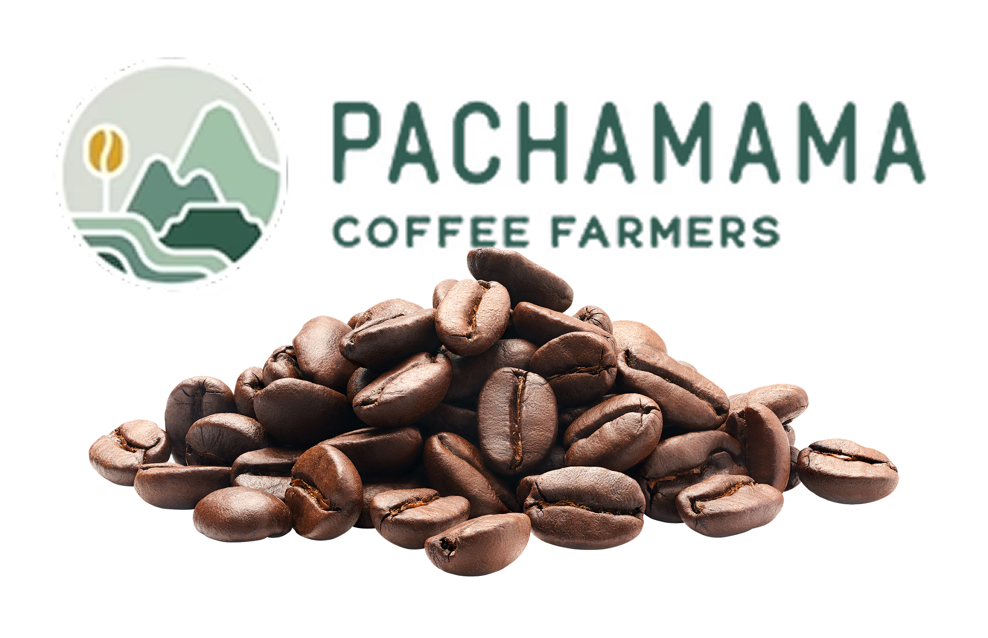 Featured image for “BULK”