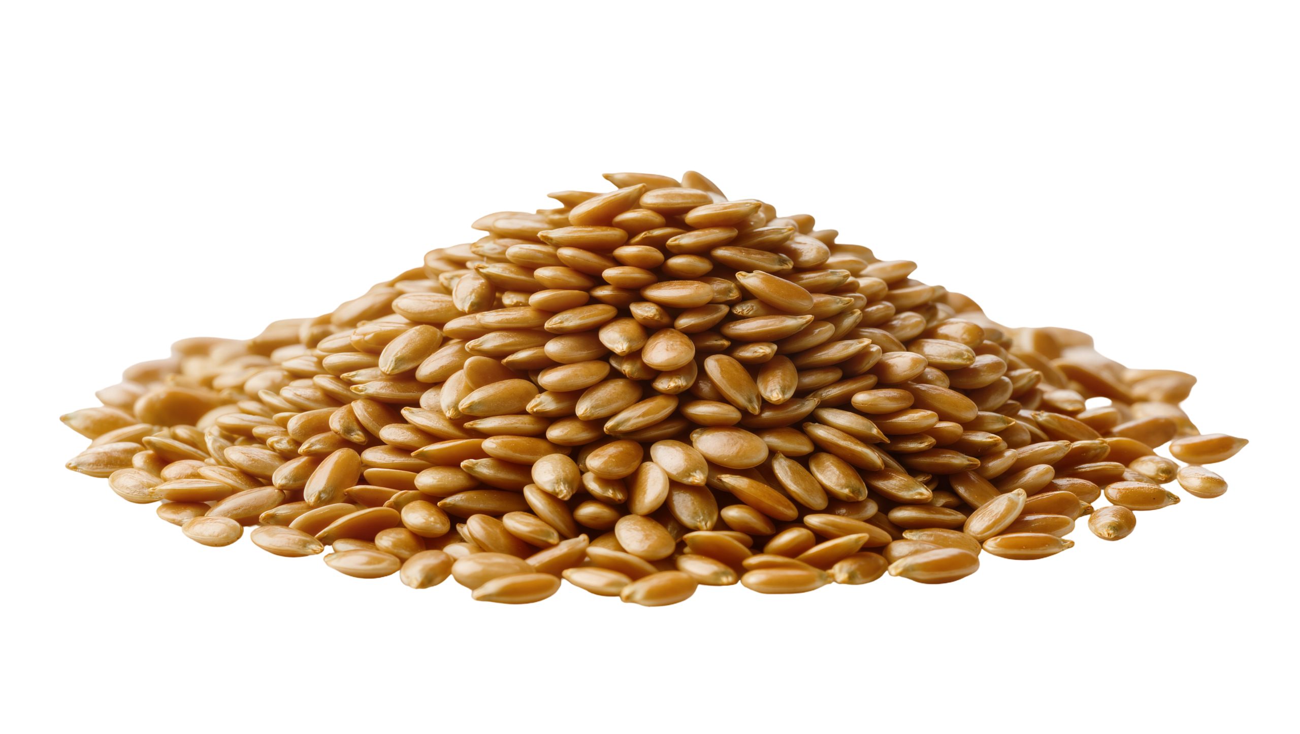 Featured image for “BULK”