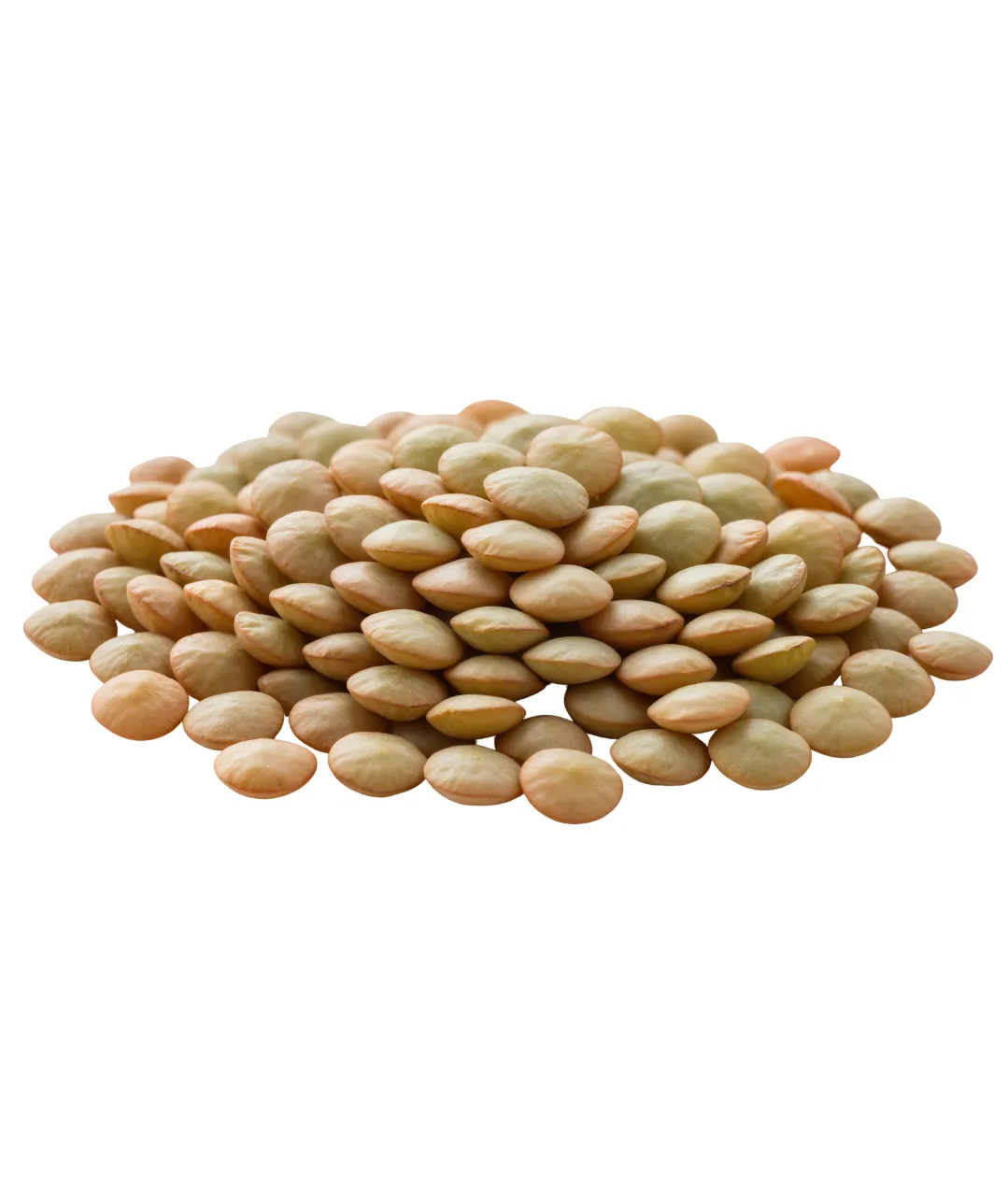 Featured image for “BULK”