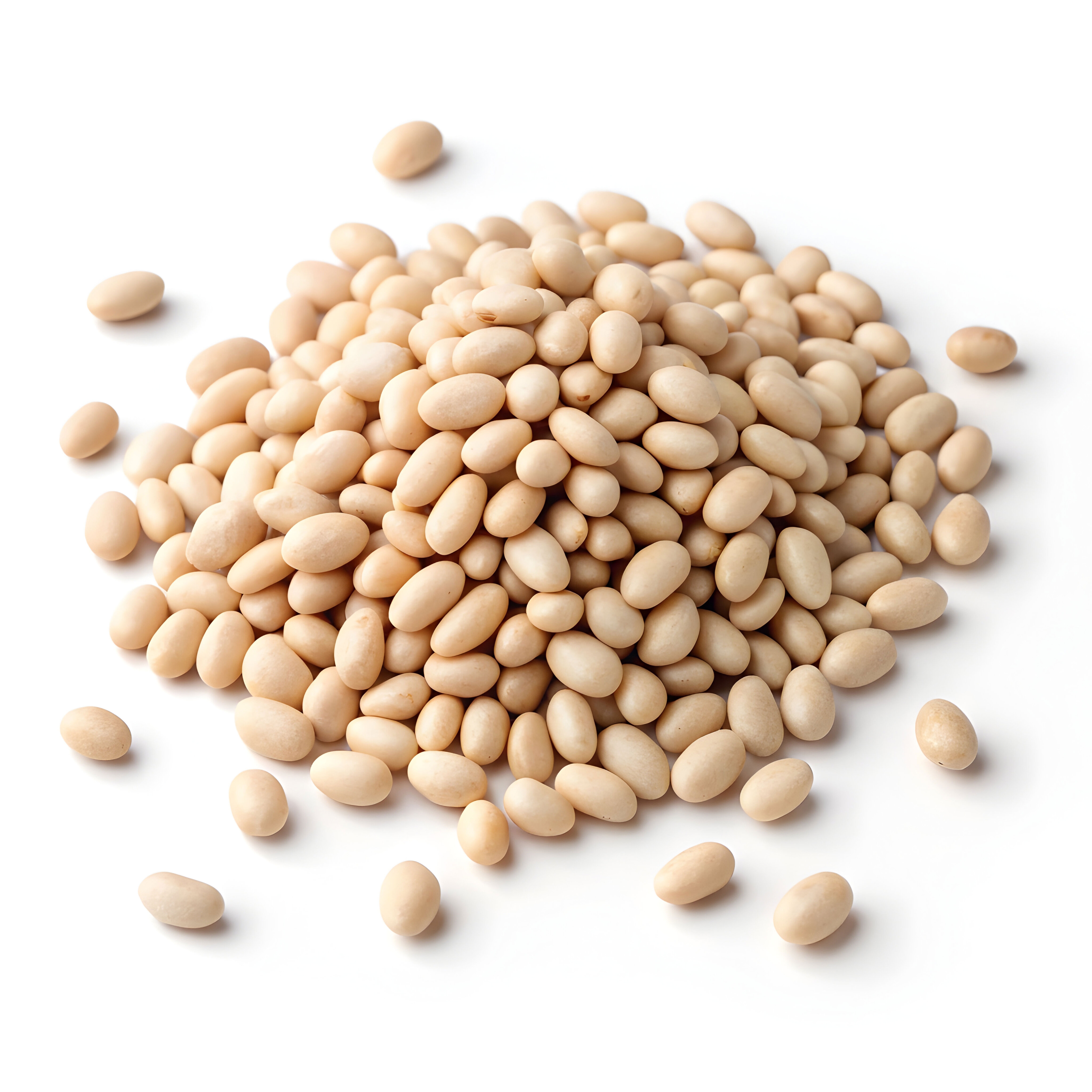 Featured image for “BULK”
