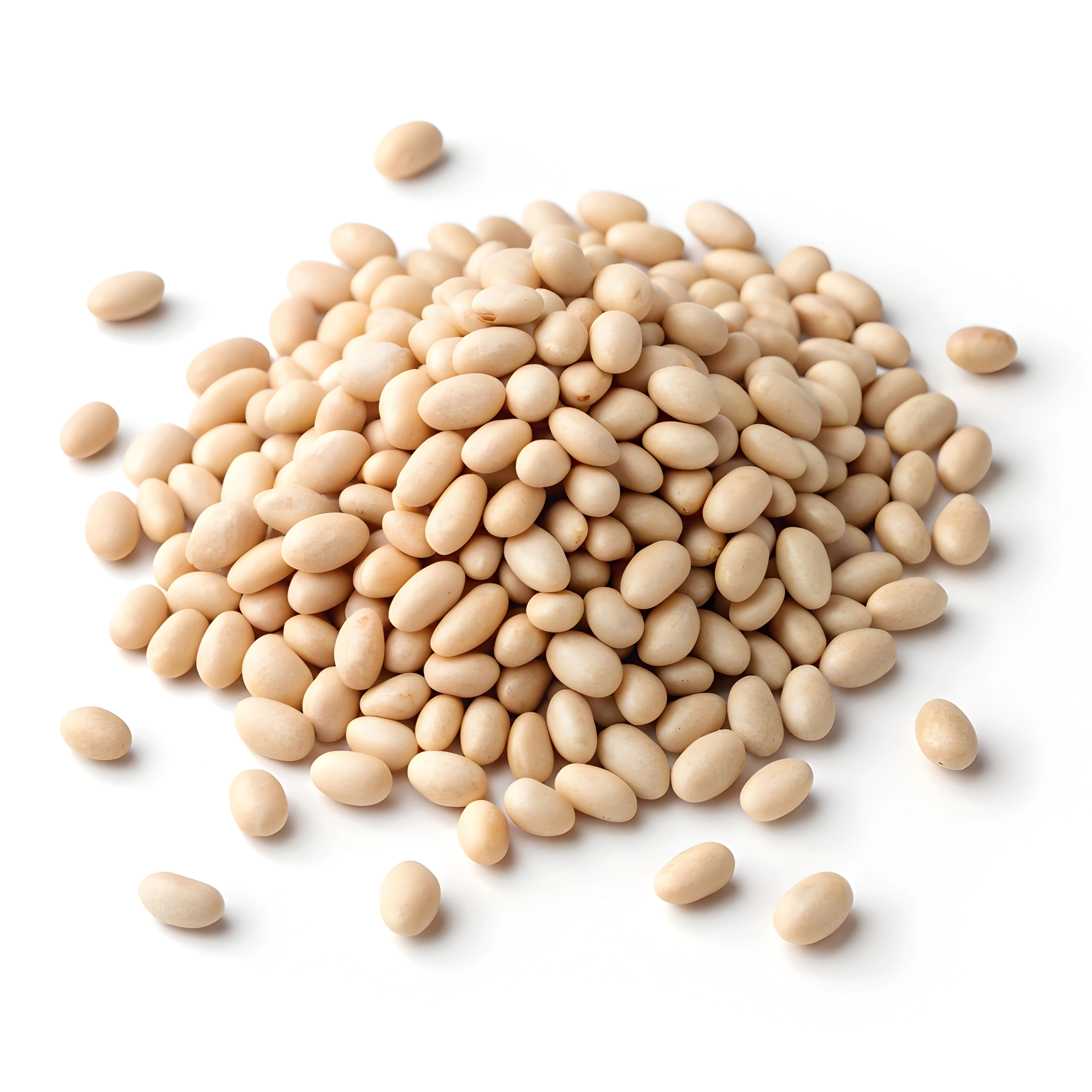Featured image for “BULK”
