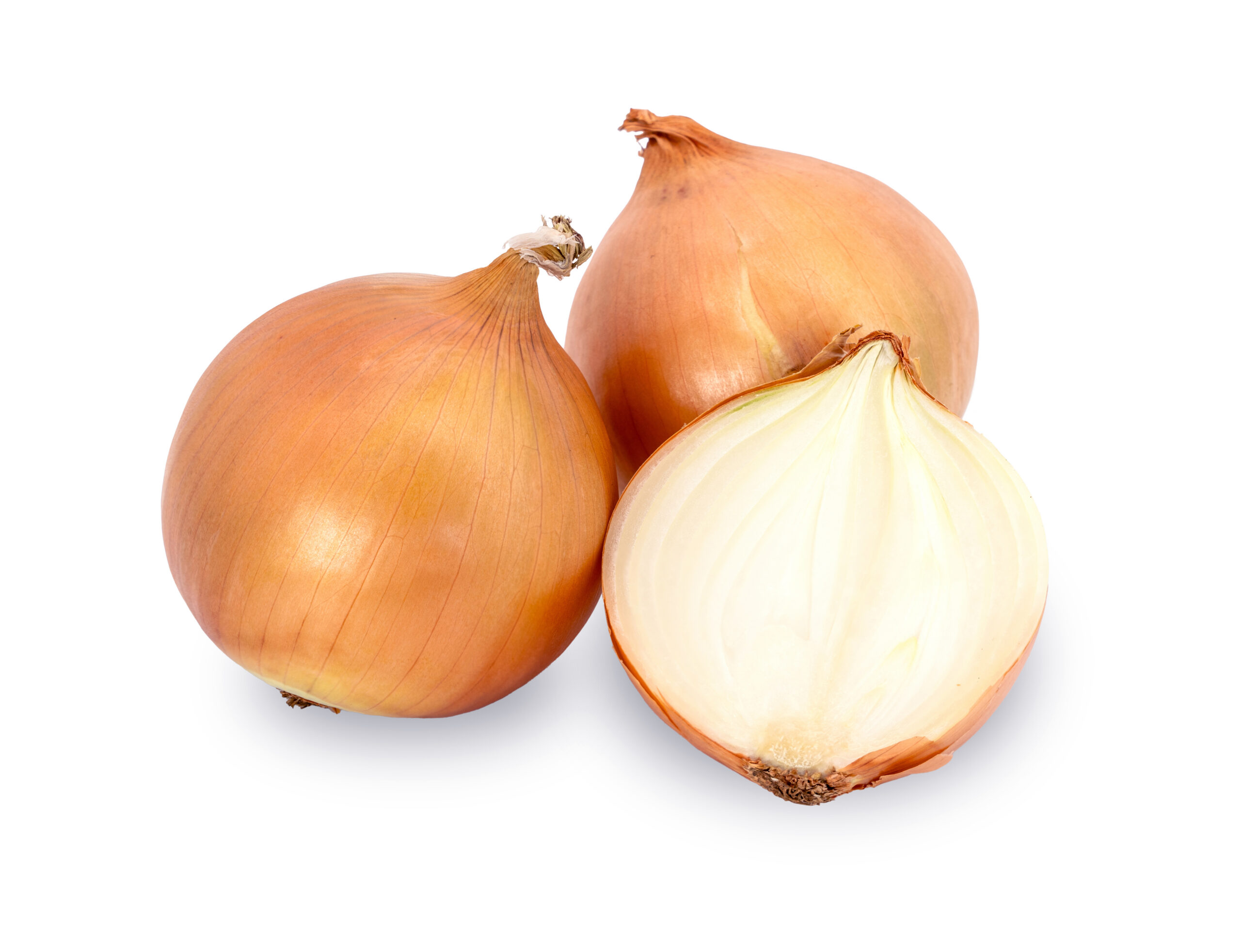 Featured image for “ORGANIC YELLOW ONIONS”