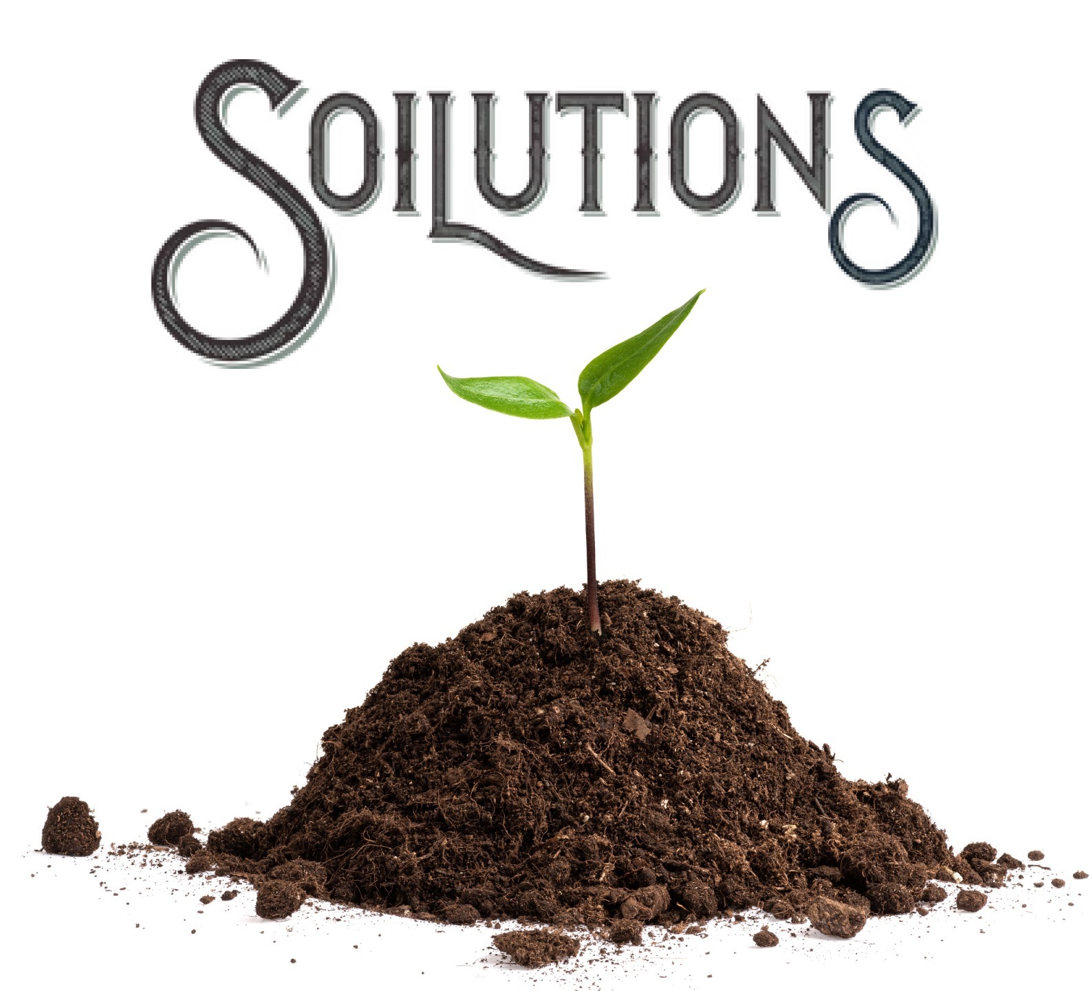 Featured image for “SOILUTIONS”