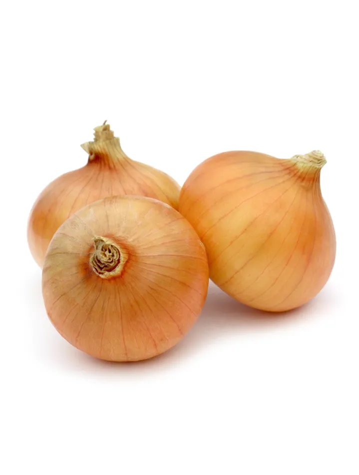 Featured image for “ORGANIC YELLOW ONIONS”