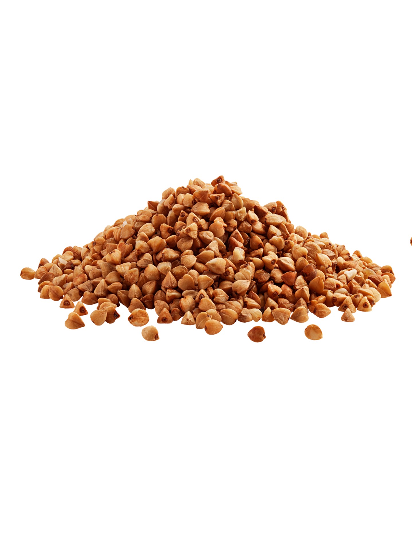 Featured image for “BULK”