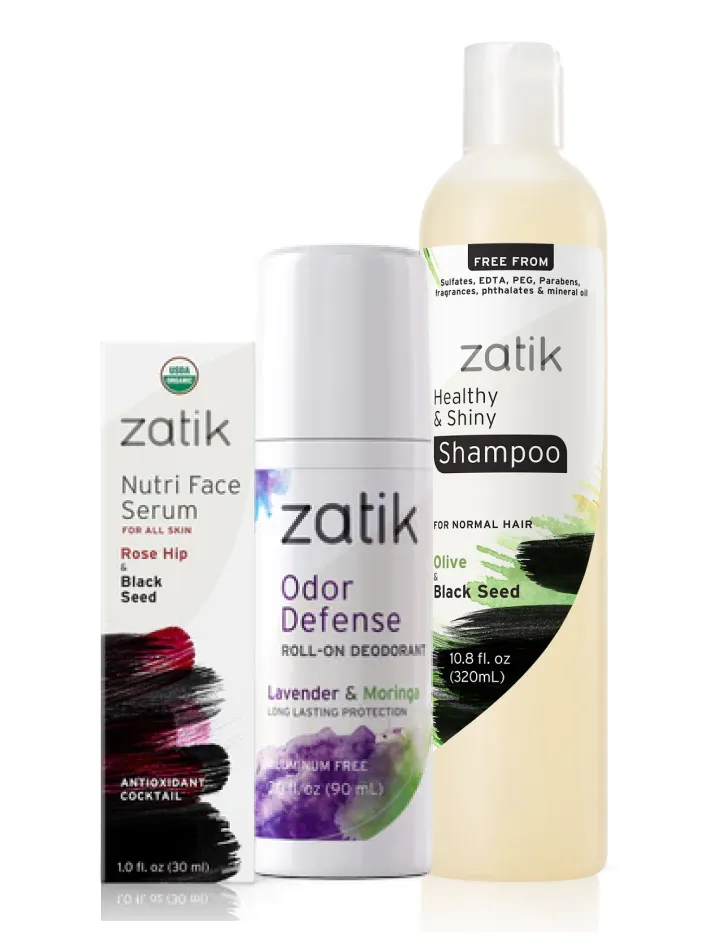 Featured image for “ZATIK”