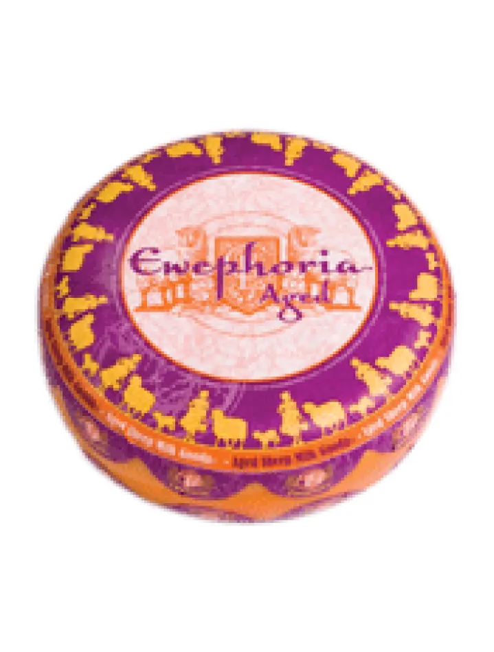 Featured image for “CHEESELAND”