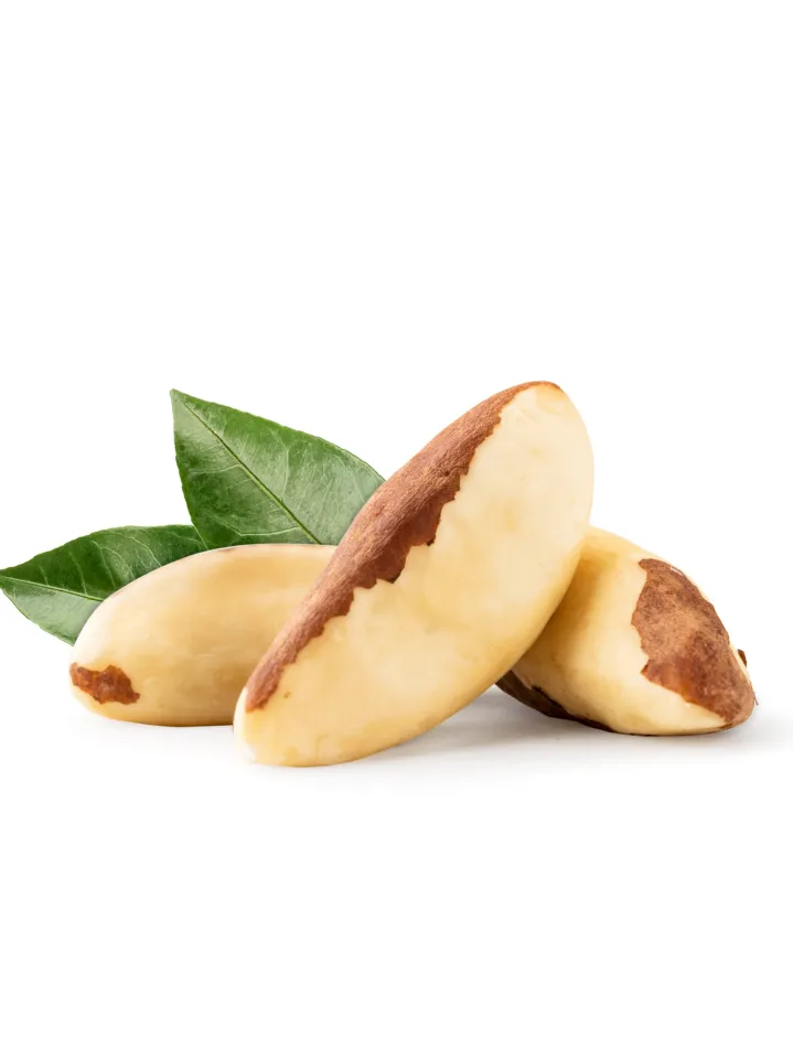 Featured image for “BULK”